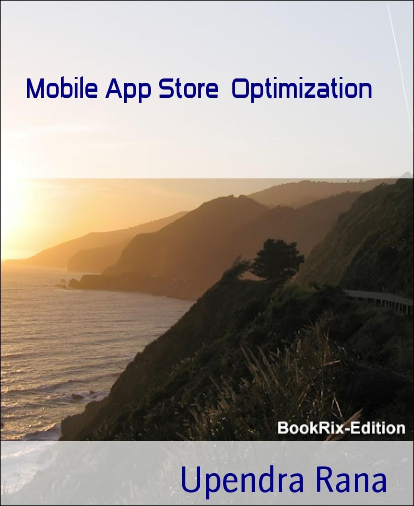 Mobile App Store Optimization: How to optimize your mobile apps to rank higher in app store rankings