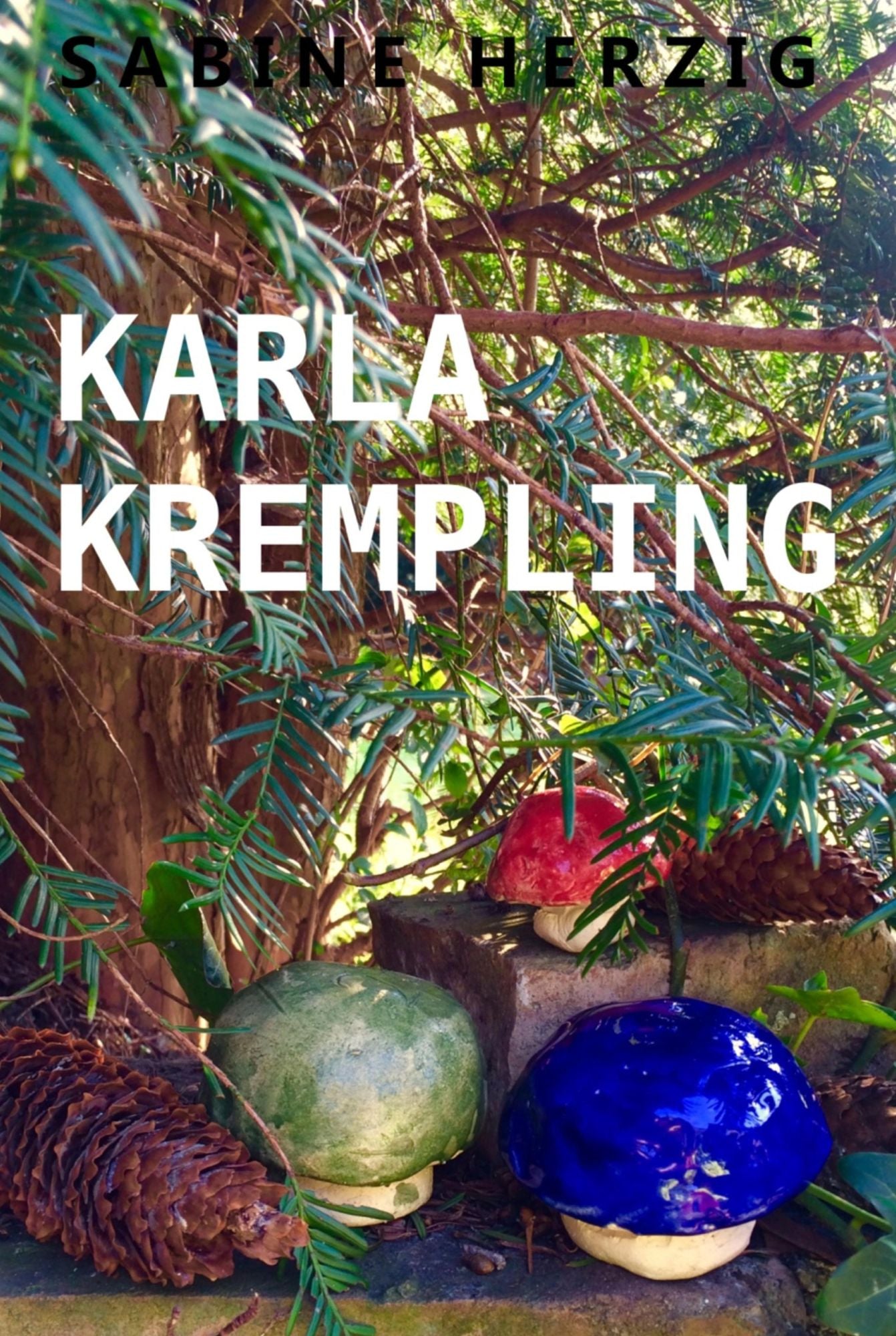 Karla Krempling: 3. Teil: Die Enthüllung