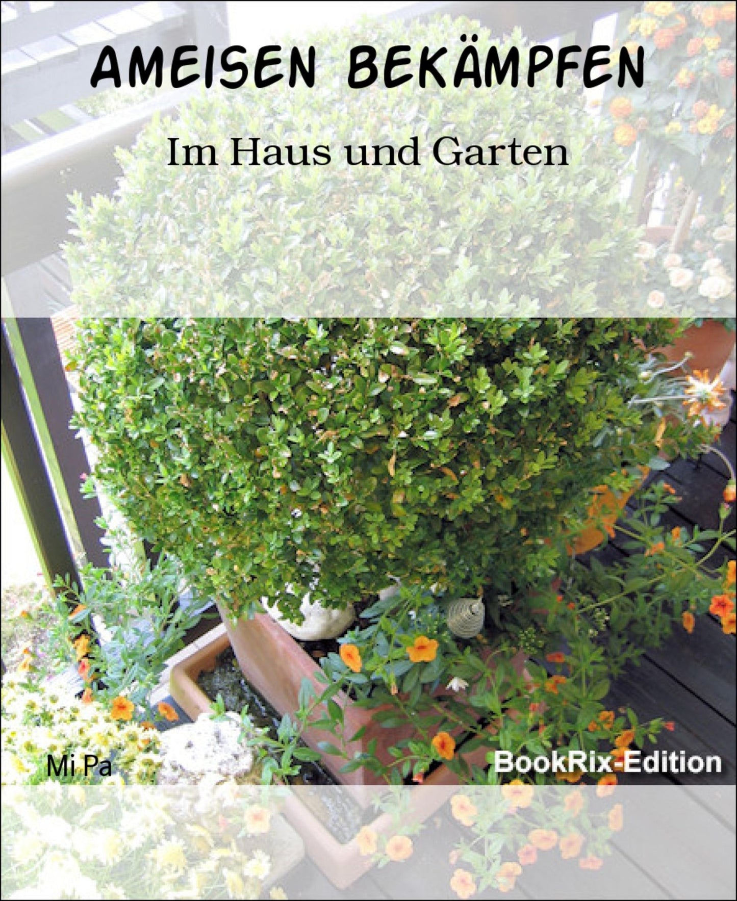 Ameisen bekämpfen: Im Haus und Garten