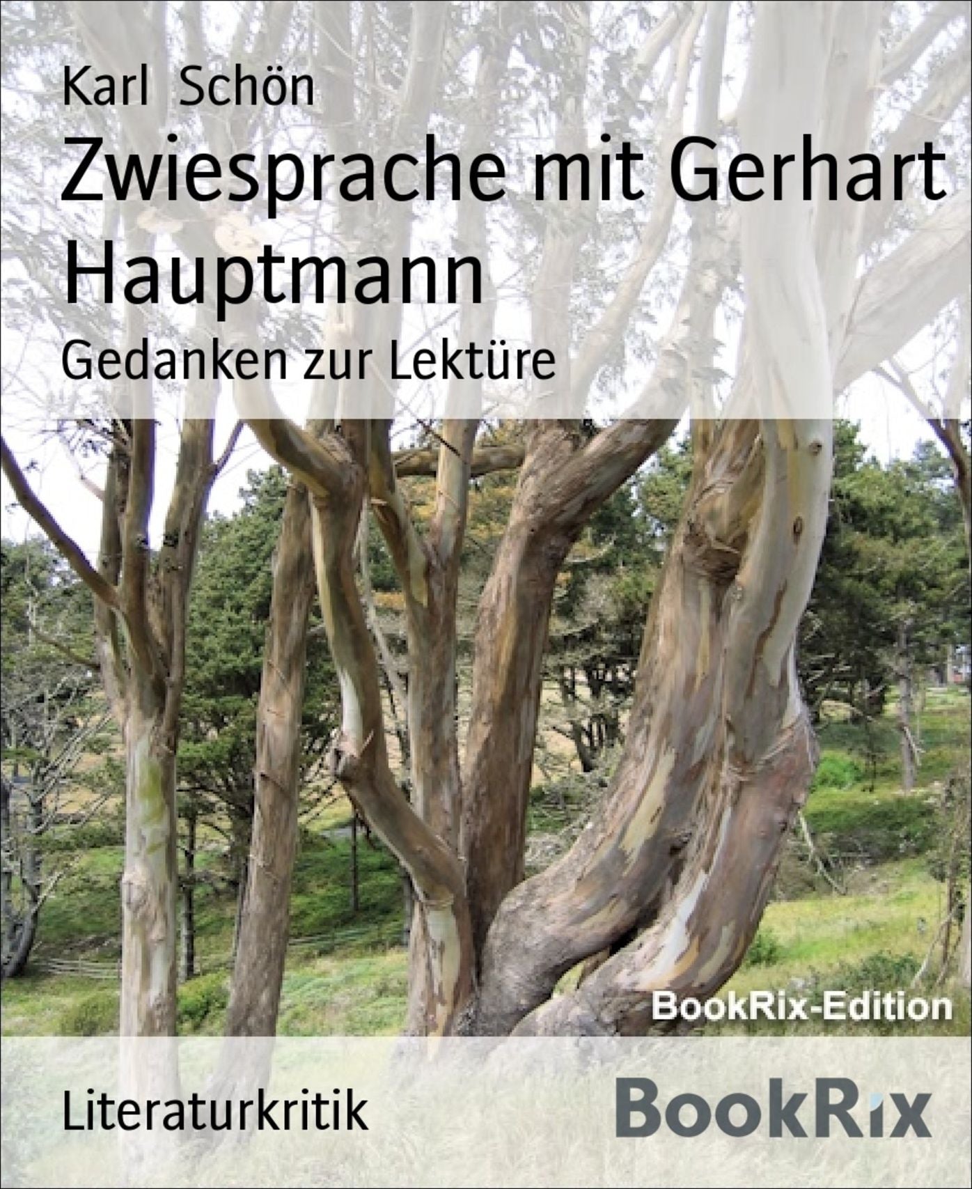 Zwiesprache mit Gerhart Hauptmann: Gedanken zur Lektüre