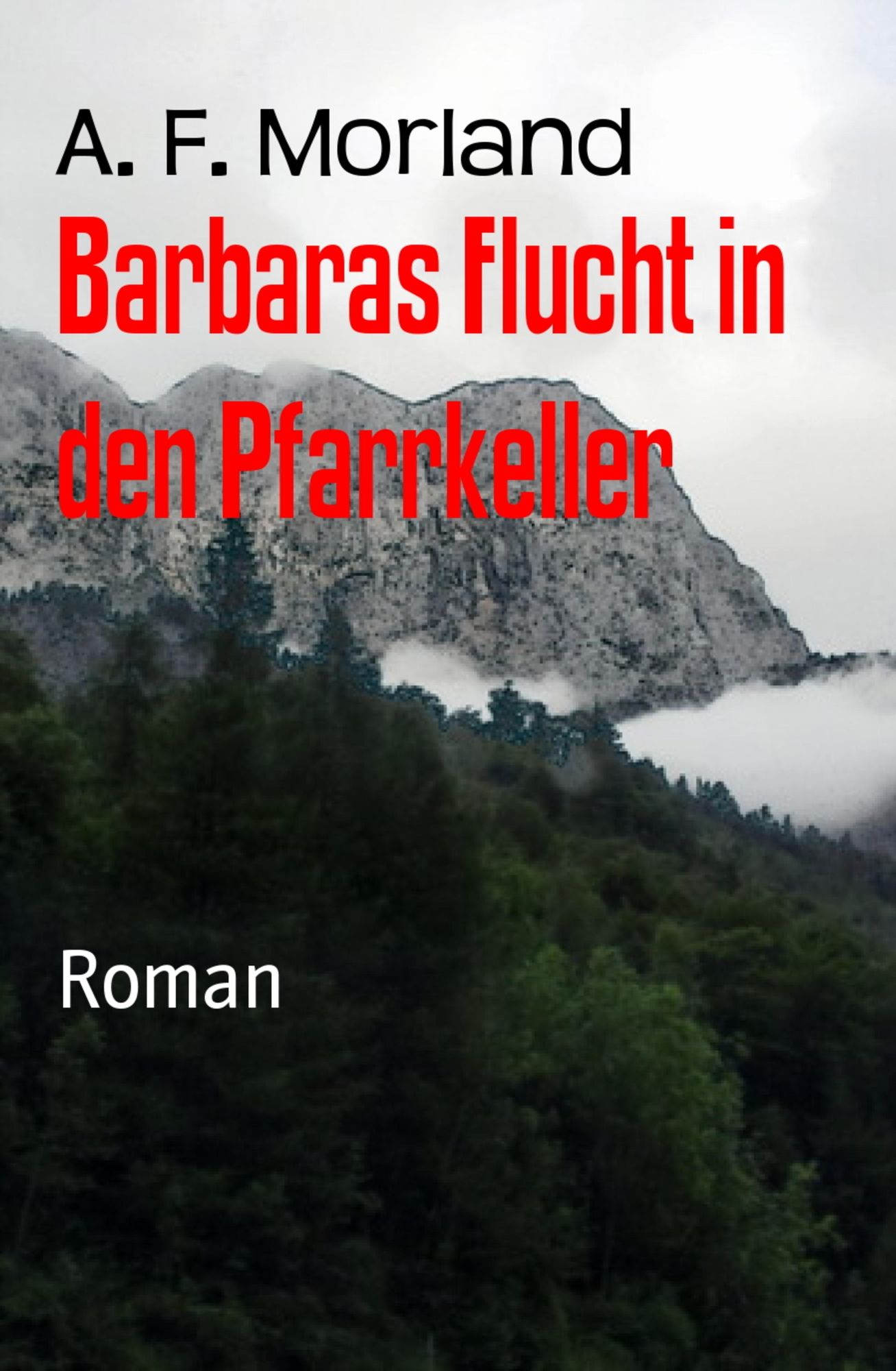 Barbaras Flucht in den Pfarrkeller: Roman