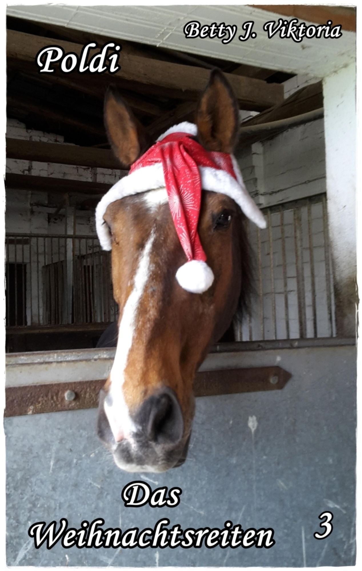 Poldi Band 3: Das Weihnachtsreiten