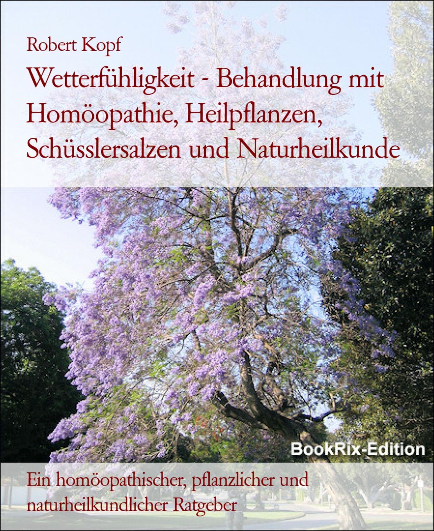 Wetterfühligkeit, Wetterempfindlichkeit - Behandlung mit Homöopathie, Pflanzenheilkunde, Schüsslersalzen, Naturheilkunde: Ein homöopathischer, pflanzlicher, biochemischer und naturheilkundlicher Ratgeber