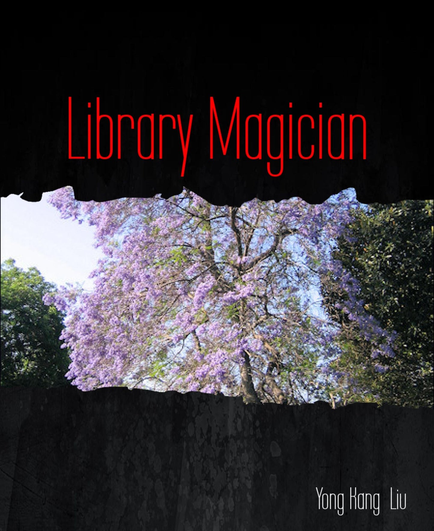 Library Magician