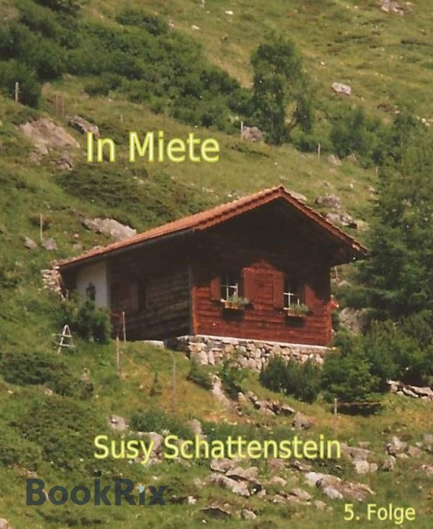In Miete: 5. Folge