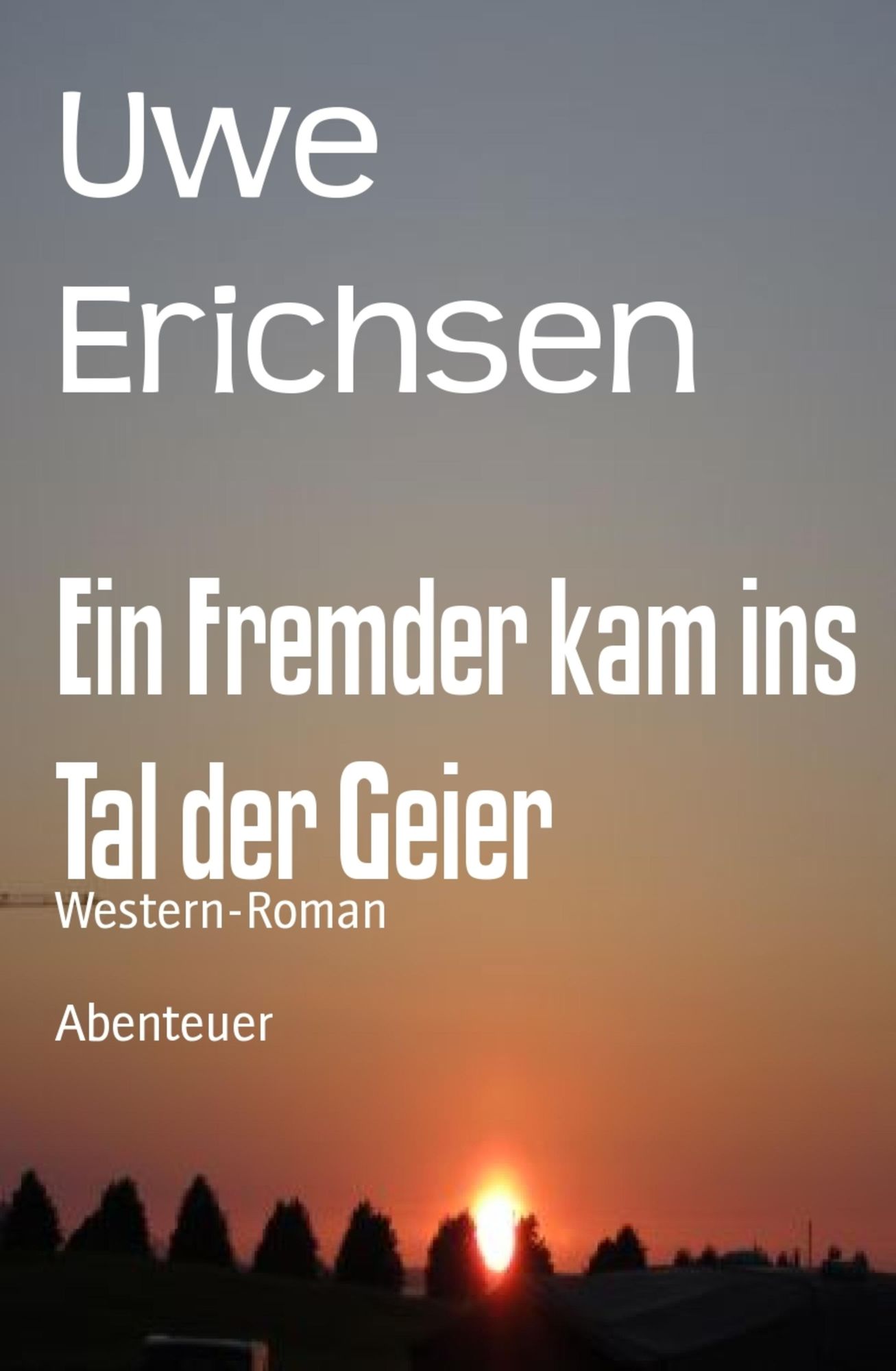 Ein Fremder kam ins Tal der Geier: Western-Roman