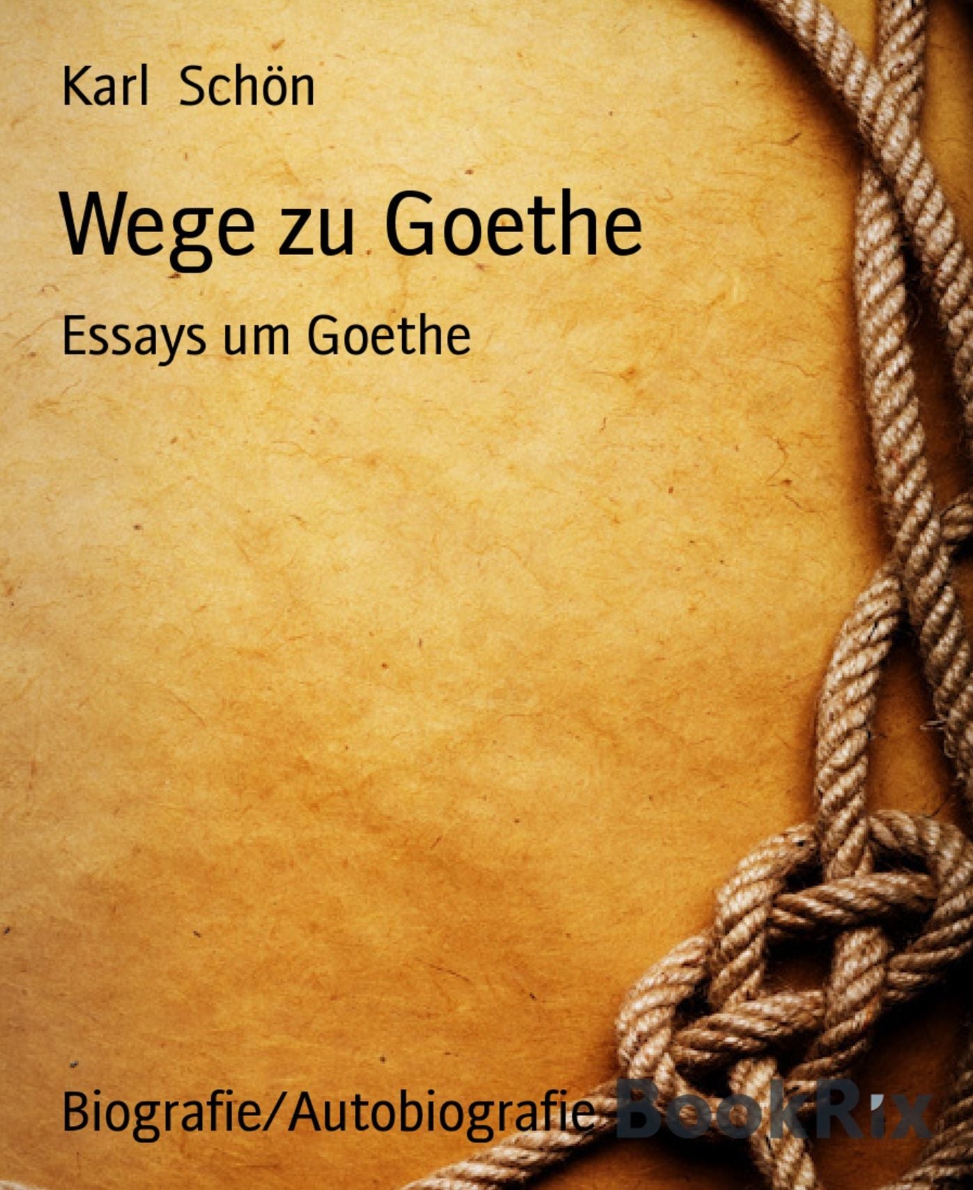 Wege zu Goethe: Essays um Goethe