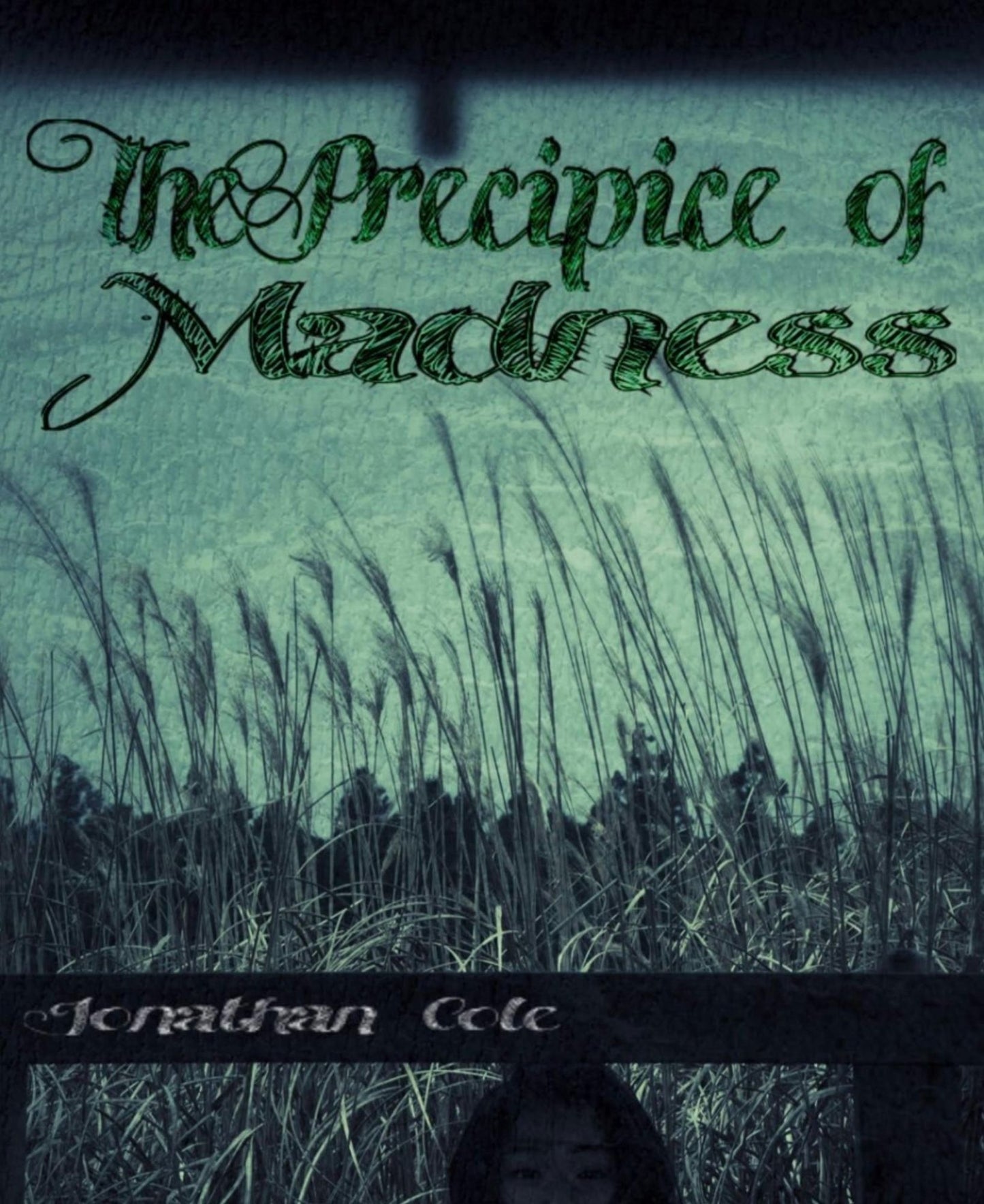 The Precipice of Madness