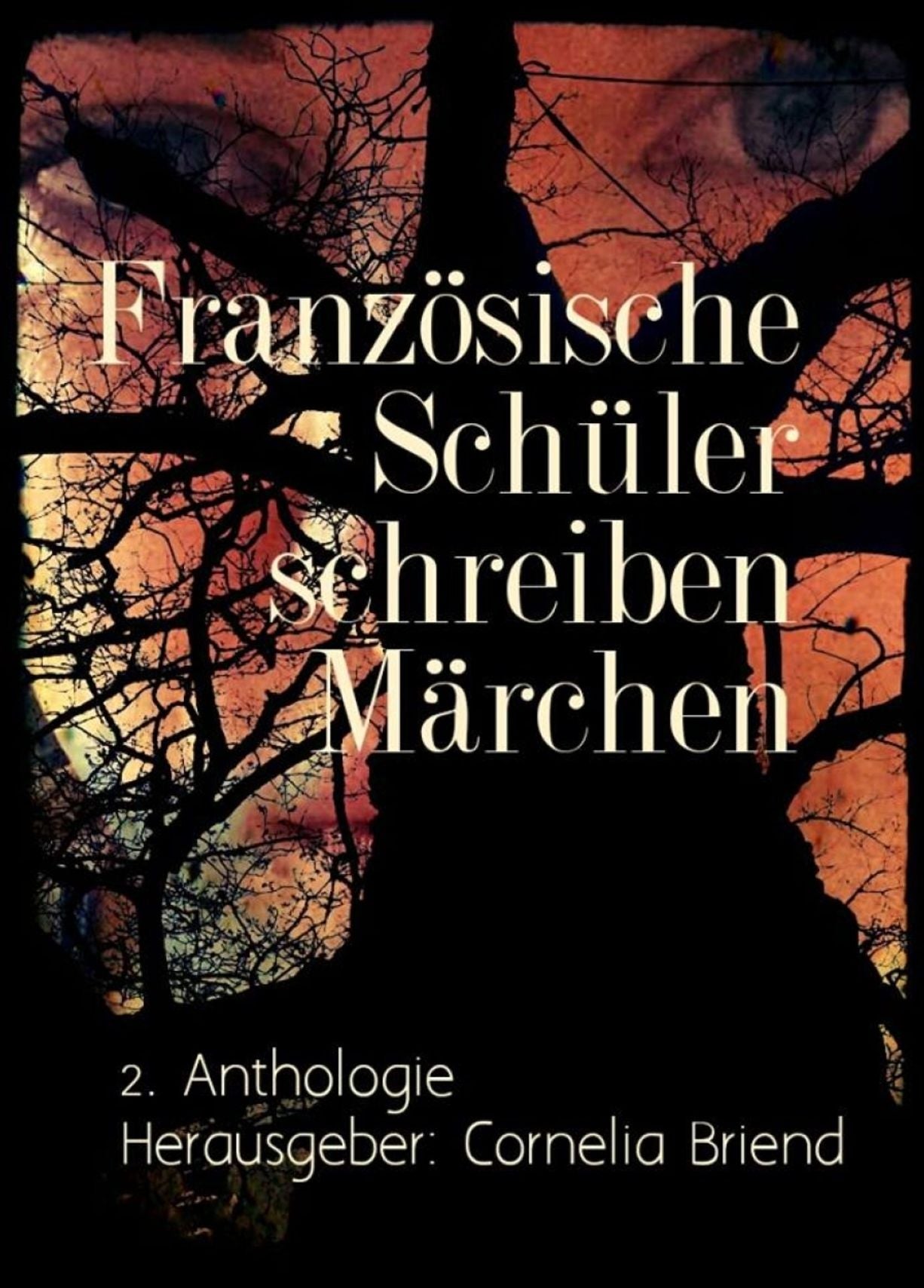 Französische Schüler schreiben Märchen: 2. Anthologie
