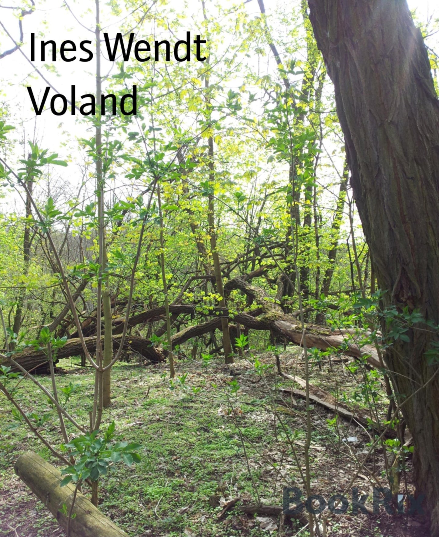 Voland
