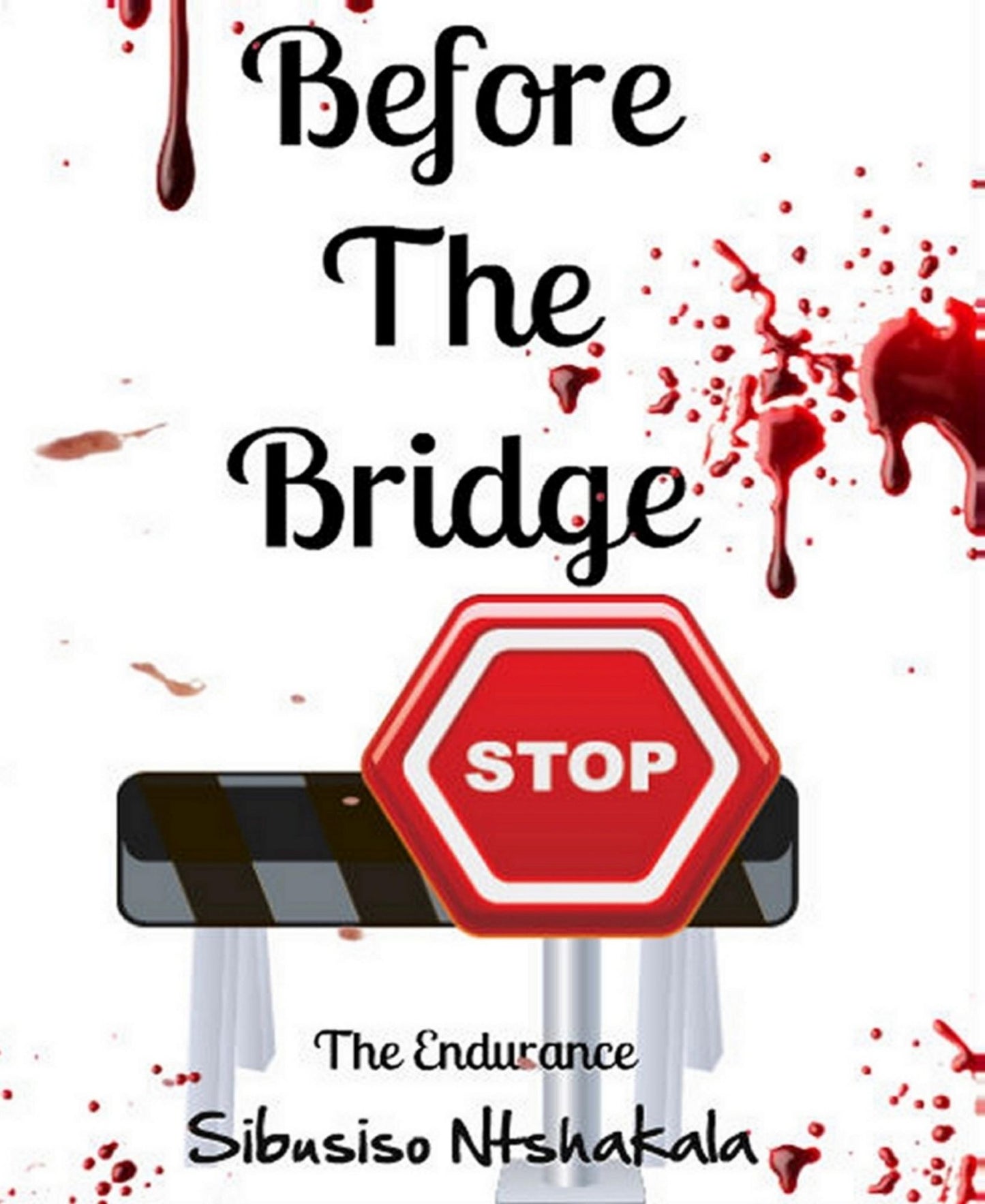 Before The Bridge: The Endurance