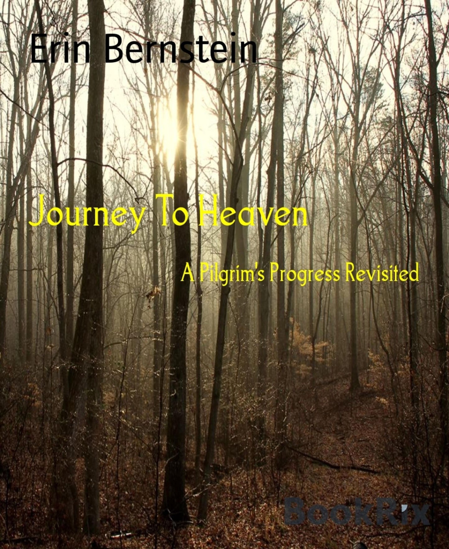 Journey To Heaven: A Pilgrim's Progress Revisited