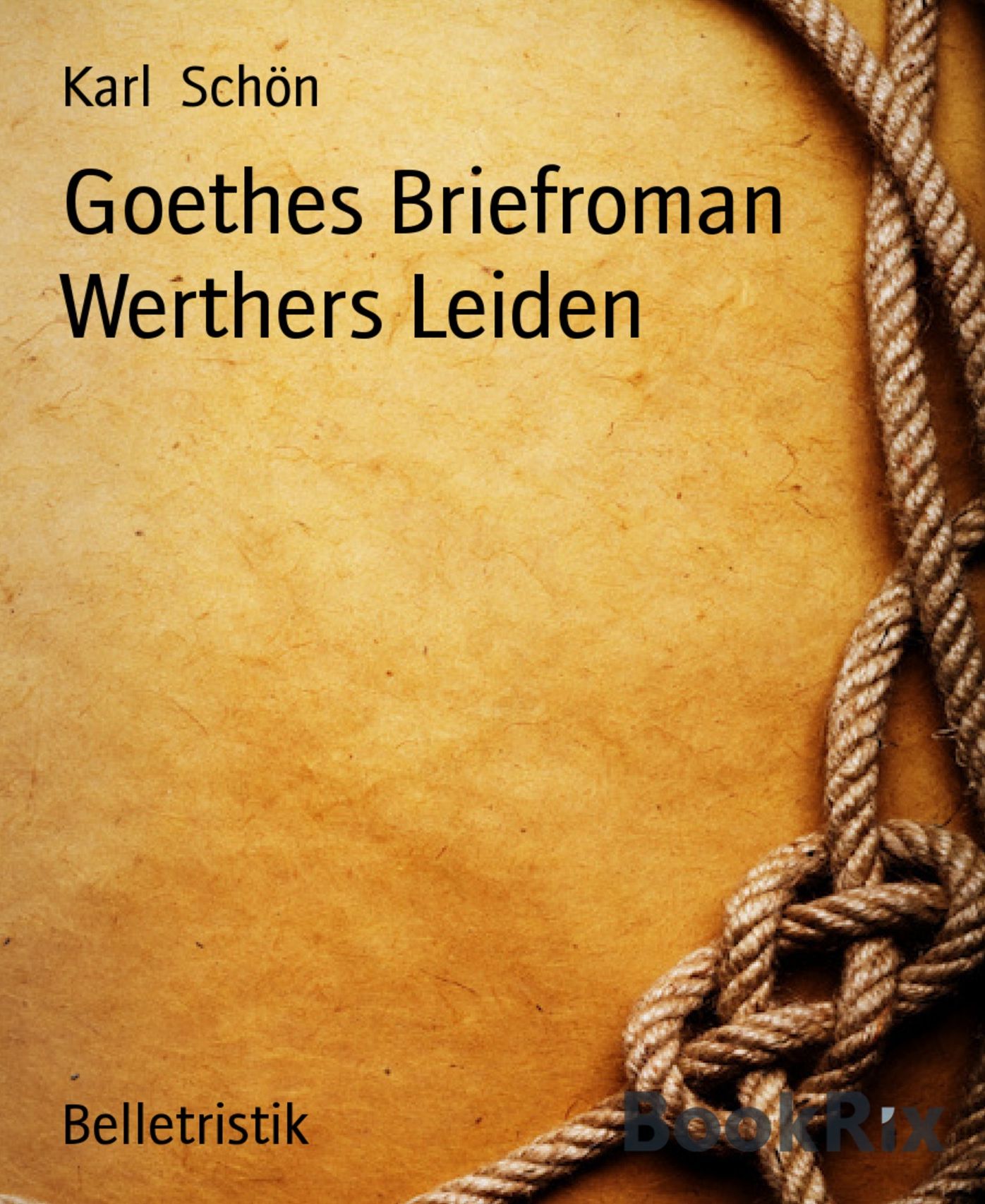Goethes Briefroman Werthers Leiden
