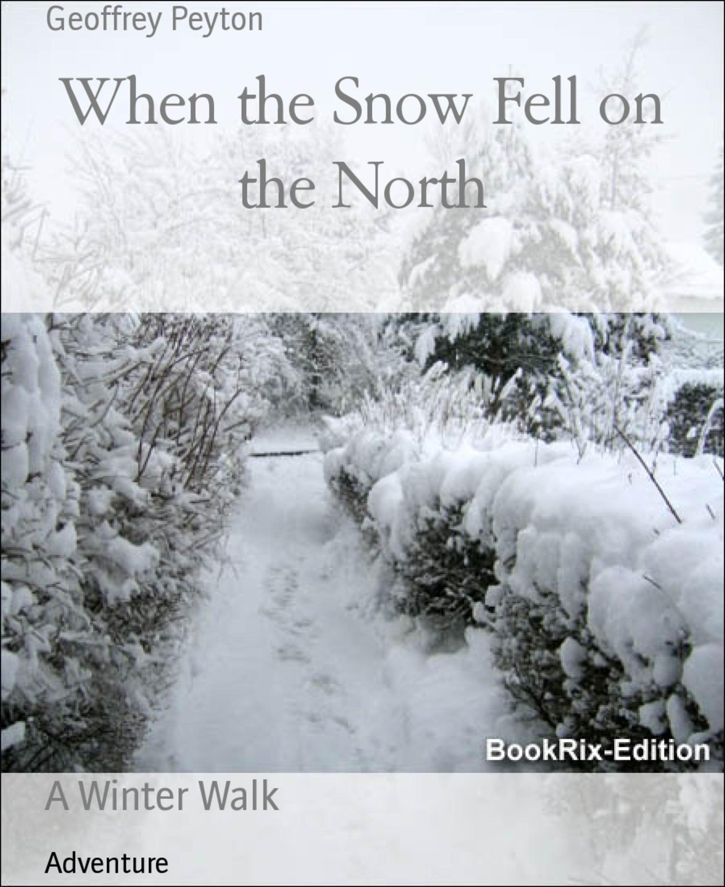When the Snow Fell on the North: A Winter Walk
