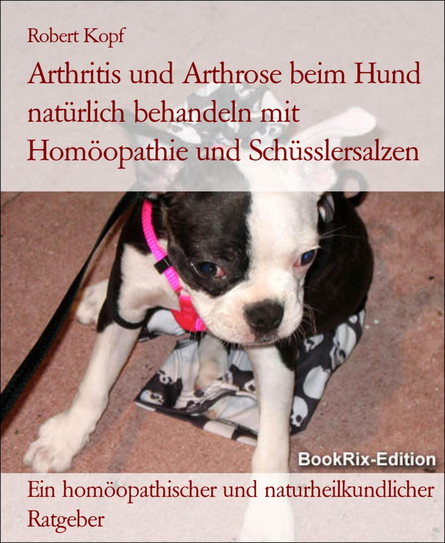Arthritis und Arthrose beim Hund Gelenkbeschwerden behandeln mit Homöopathie, Schüsslersalzen und Naturheilkunde: Ein homöopathischer, biochemischer und naturheilkundlicher Ratgeber für den Hund