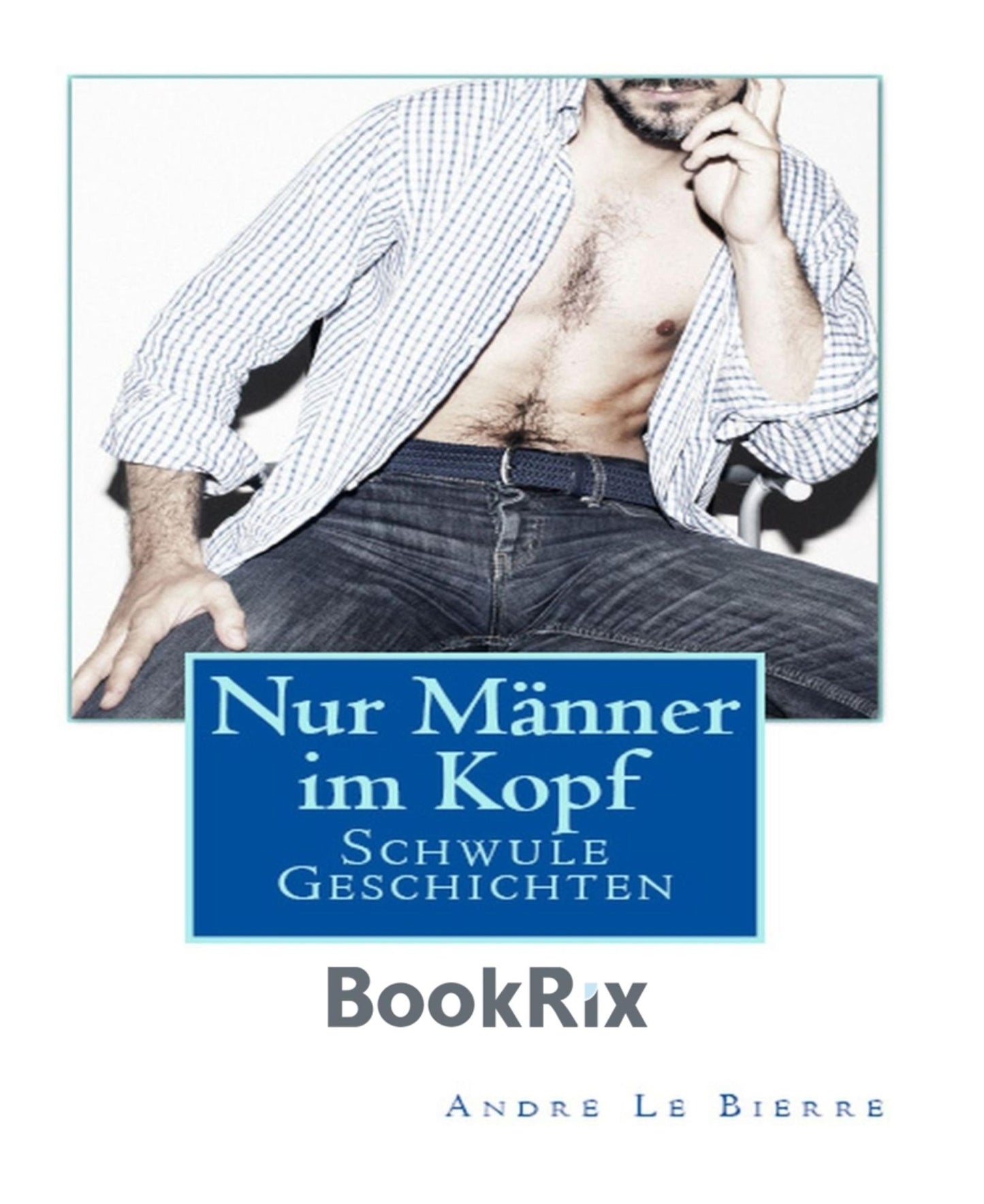 Nur Männer im Kopf: Schwule Geschichten