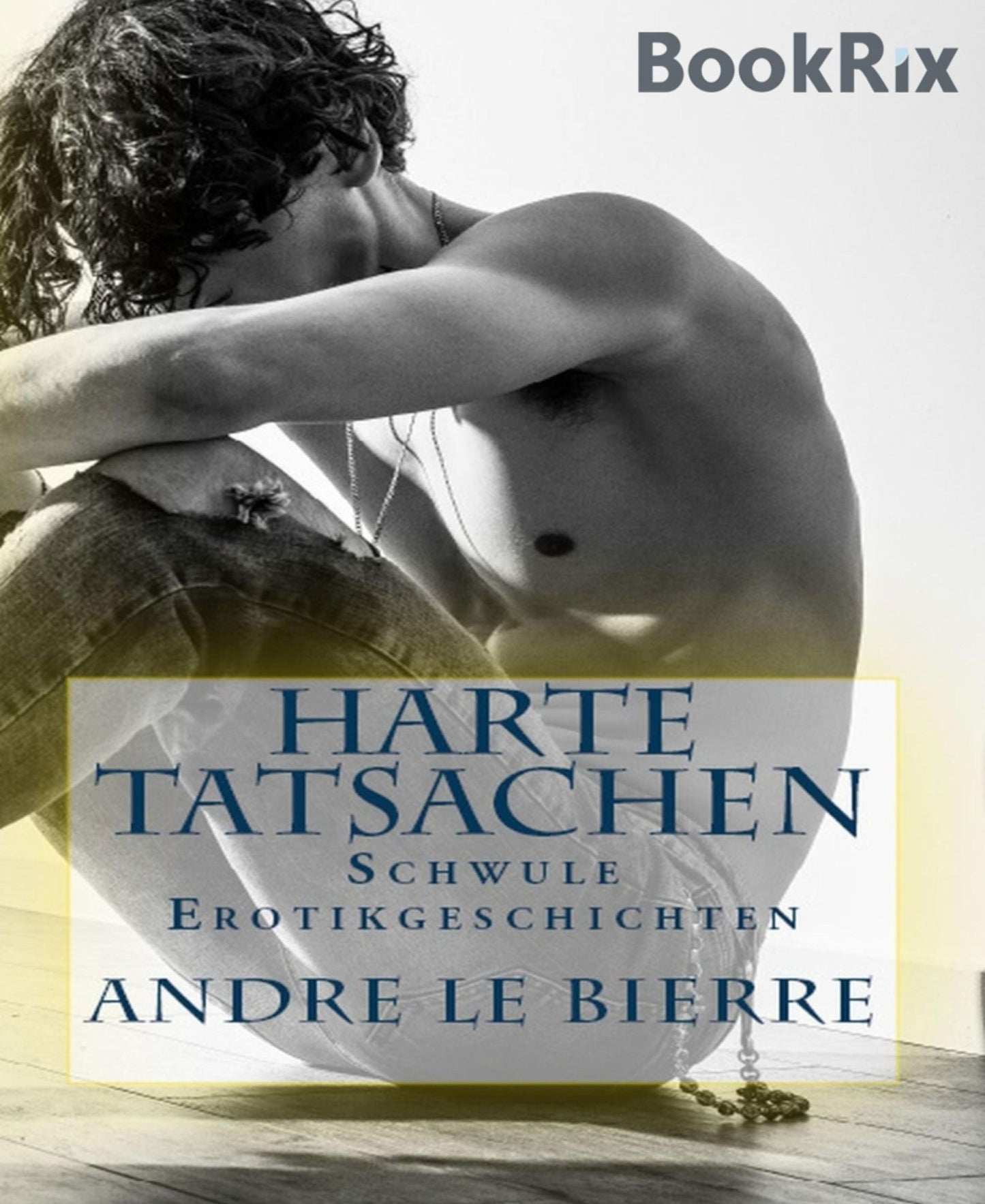 Harte Tatsachen: Schwule Erotikgeschichten