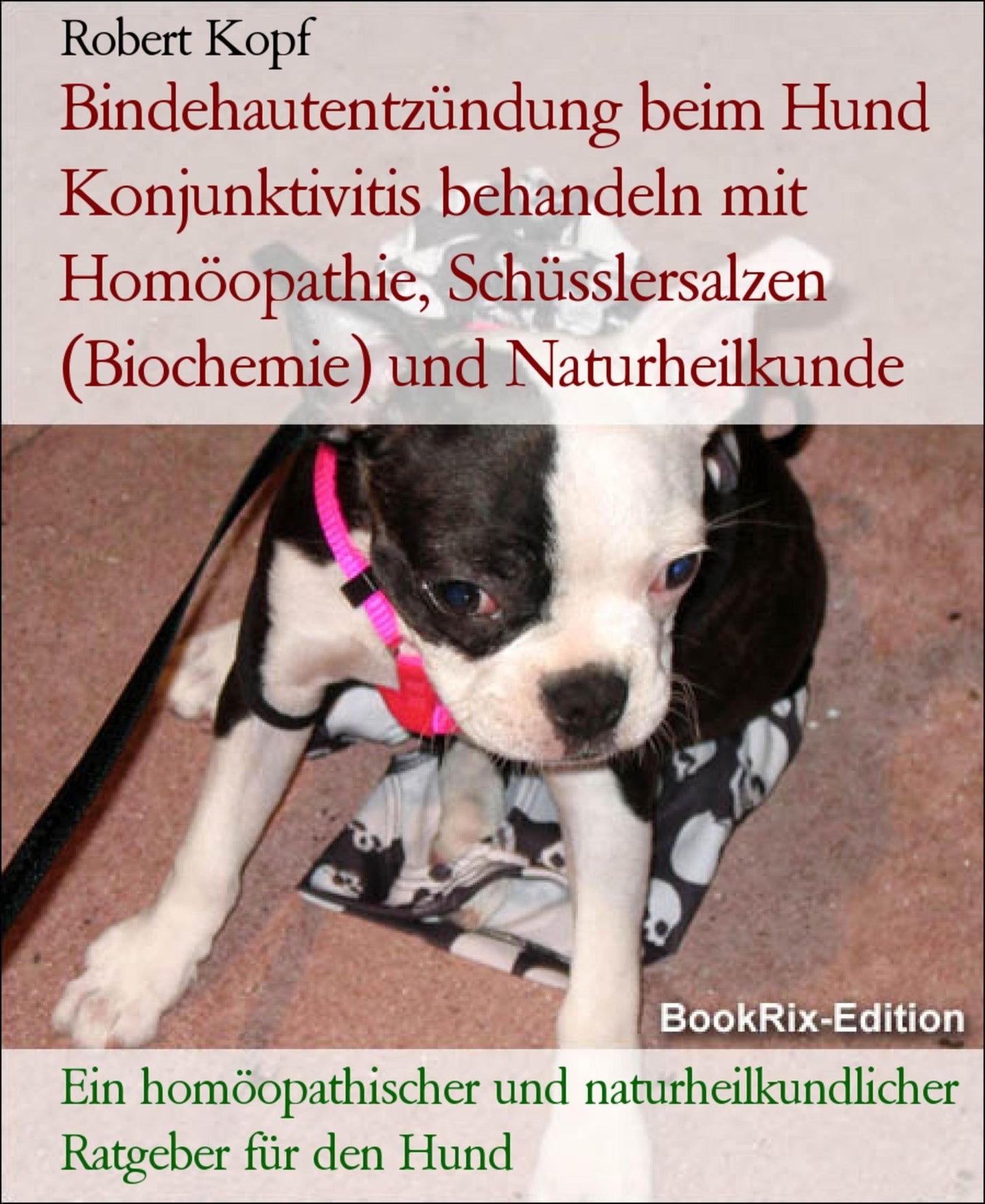 Bindehautentzündung beim Hund Konjunktivitis behandeln mit Homöopathie, Schüsslersalzen (Biochemie) und Naturheilkunde: Ein homöopathischer, biochemischer und naturheilkundlicher Ratgeber für den Hund