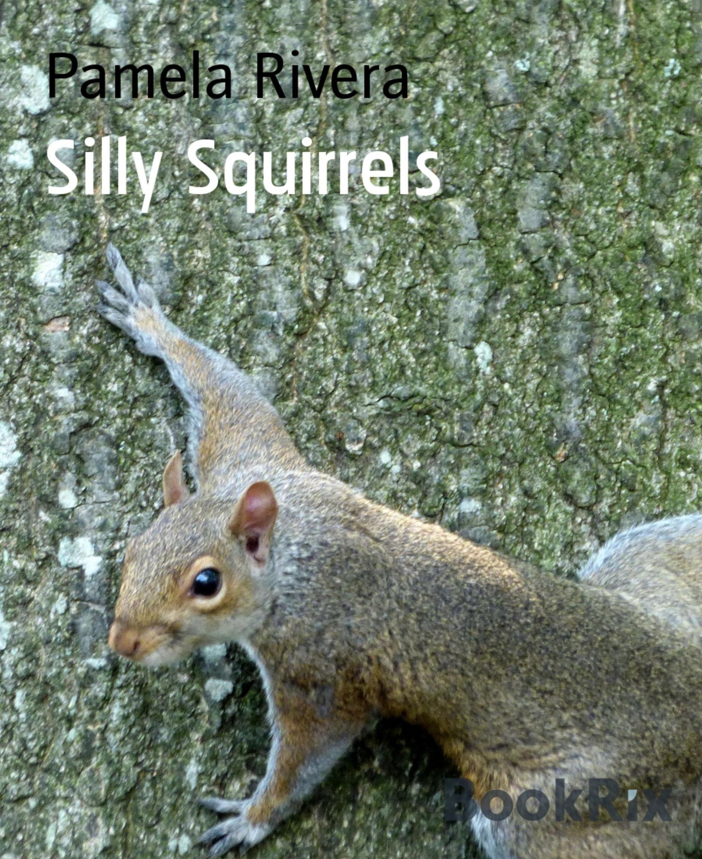 Silly Squirrels