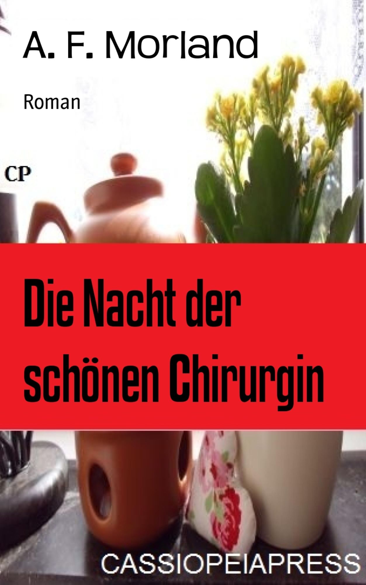 Die Nacht der schönen Chirurgin: Roman