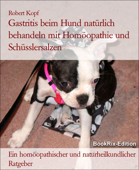 Gastritis beim Hund Magenschleimhautentzündung behandeln mit Homöopathie, Schüsslersalzen und Naturheilkunde: Ein homöopathischer, biochemischer und naturheilkundlicher Ratgeber für den Hund