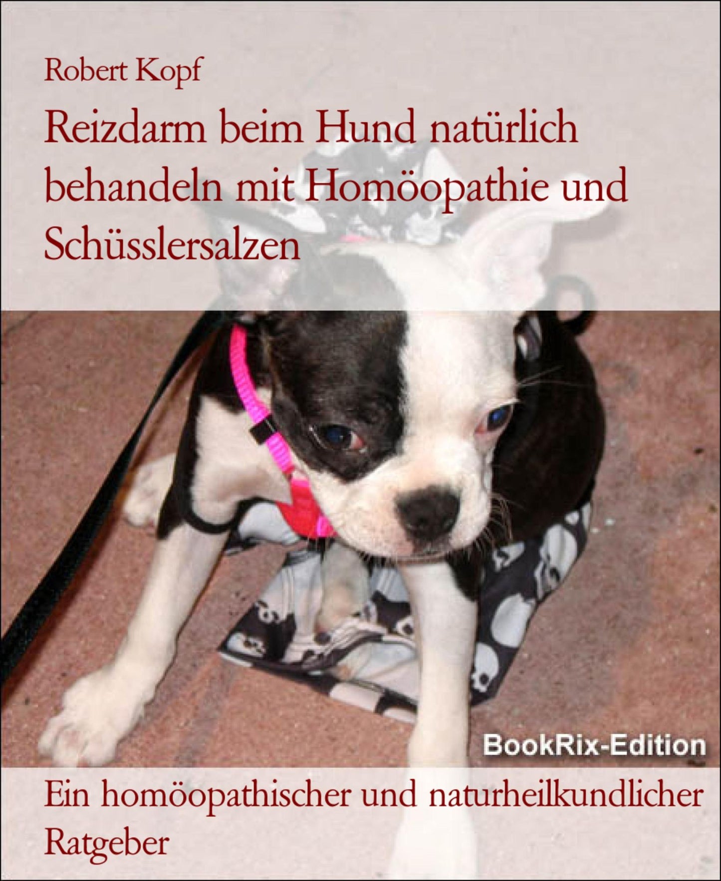 Reizdarm beim Hund - Colon irritabile behandeln mit Homöopathie, Schüsslersalzen (Biochemie) und Naturheilkunde: Ein homöopathischer, biochemischer und naturheilkundlicher Ratgeber für den Hund