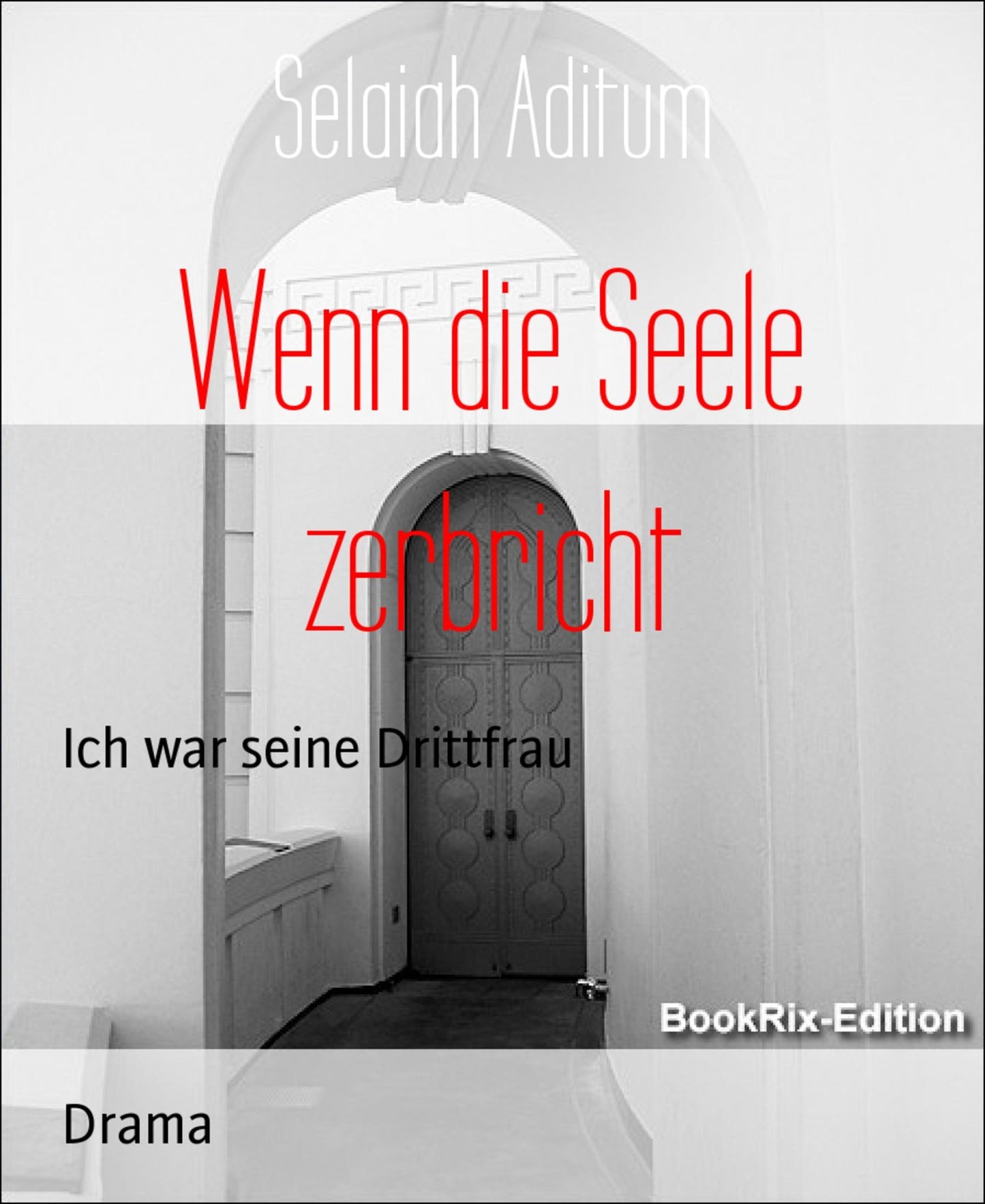 Wenn die Seele zerbricht: Ich war seine Drittfrau