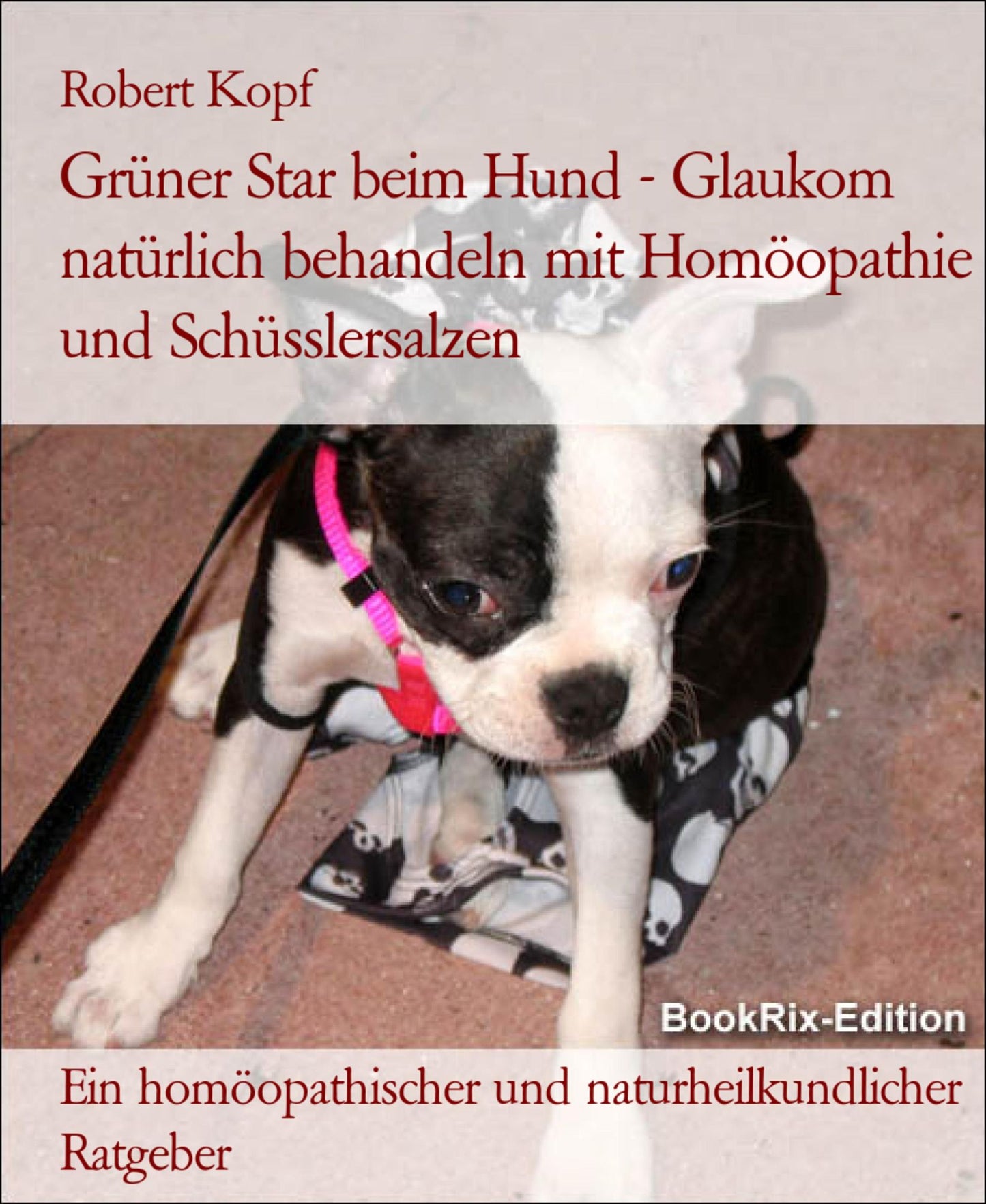 Glaukom, Grüner Star beim Hund Behandlung mit Homöopathie, Schüsslersalzen (Biochemie) und Naturheilkunde: Ein homöopathischer, biochemischer und naturheilkundlicher Ratgeber für den Hund