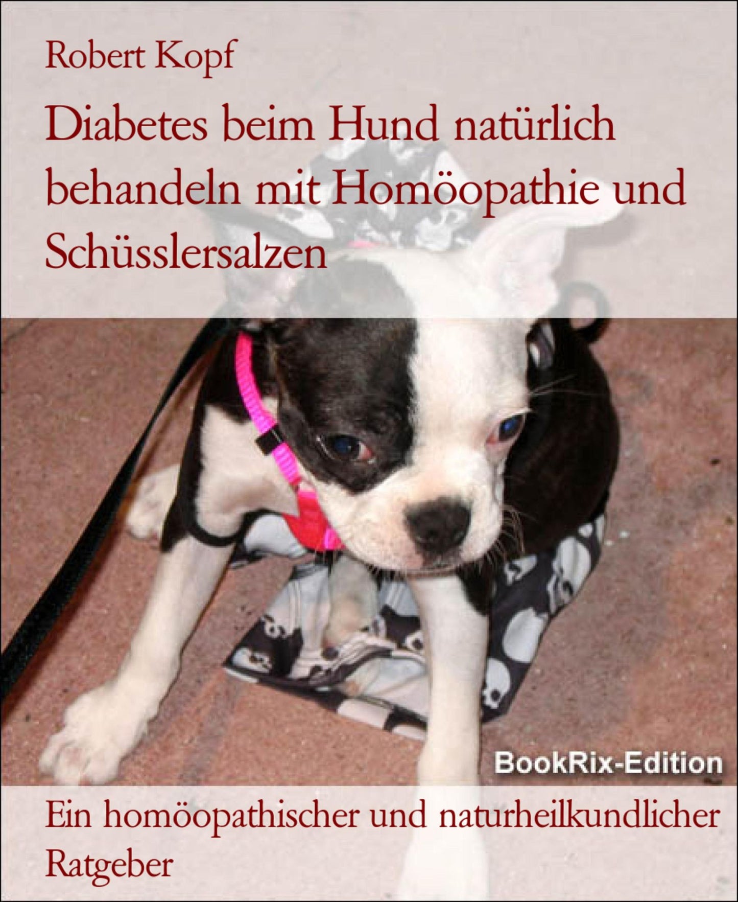 Diabetes mellitus beim Hund Zuckerkrankheit behandeln mit Homöopathie, Schüsslersalzen (Biochemie) und Naturheilkunde: Ein homöopathischer, biochemischer und naturheilkundlicher Ratgeber für den Hund