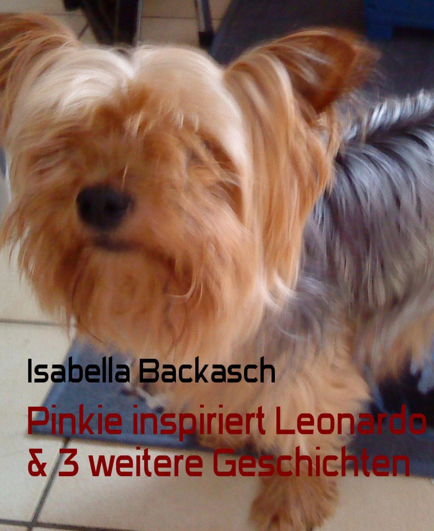 Pinkie inspiriert Leonardo & 3 weitere Geschichten