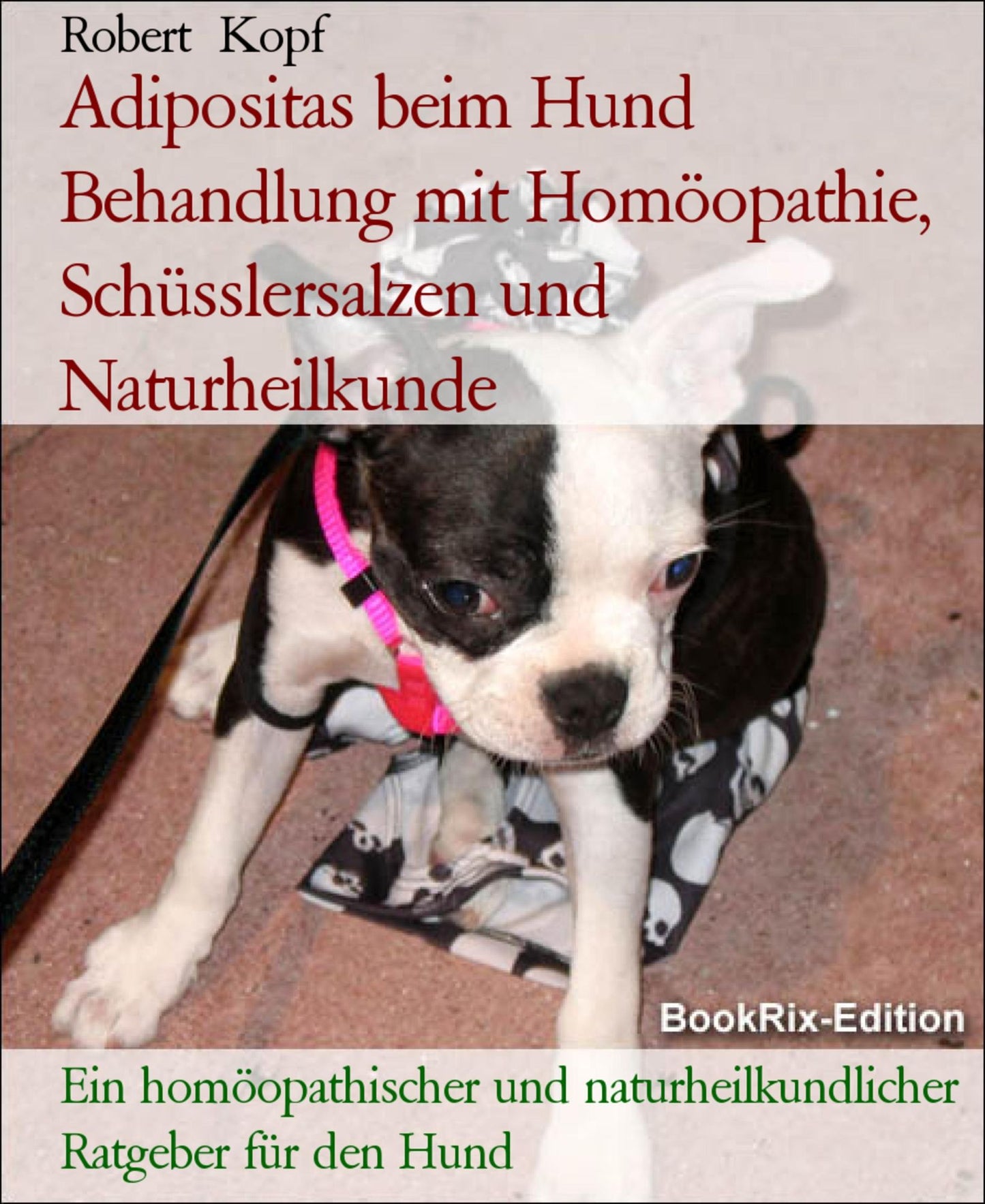 Adipositas beim Hund - Fettleibigkeit behandeln mit Homöopathie, Schüsslersalzen (Biochemie) und Naturheilkunde: Ein homöopathischer, biochemischer und naturheilkundlicher Ratgeber für den Hund
