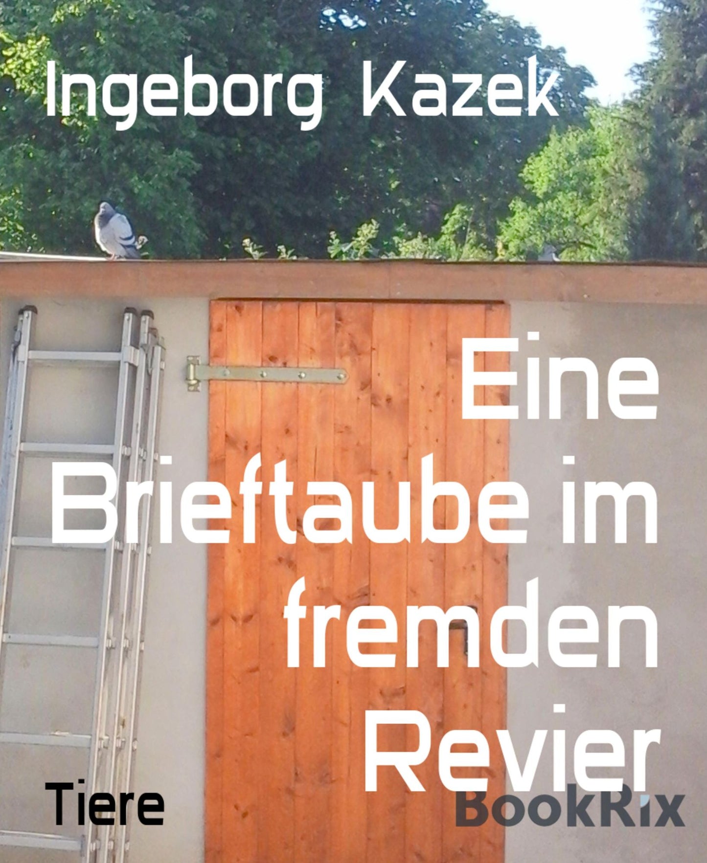 Eine Datentaube im falschen Revier