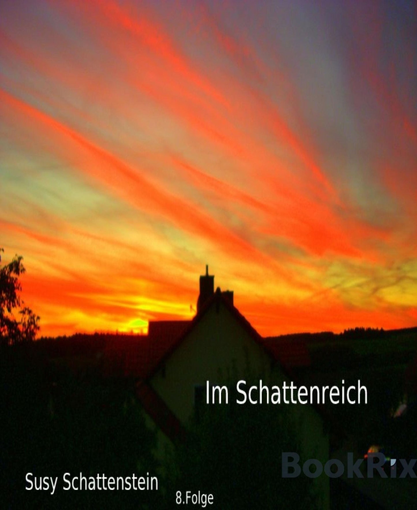 Im Schattenreich: 8. Folge