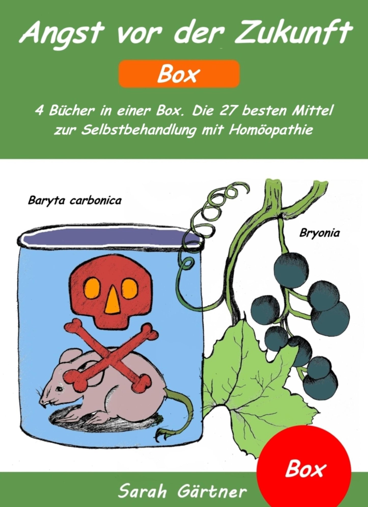 Angst vor der Zukunft - Box. 4 Bücher in einer Box. Die 27 besten Mittel zur Selbstbehandlung mit Homöopathie: Selbsthilfe bei Angst vor Neuem, Angst vor Veränderung und Angst vor dem Leben. Wie finde ich das richtige Mittel?