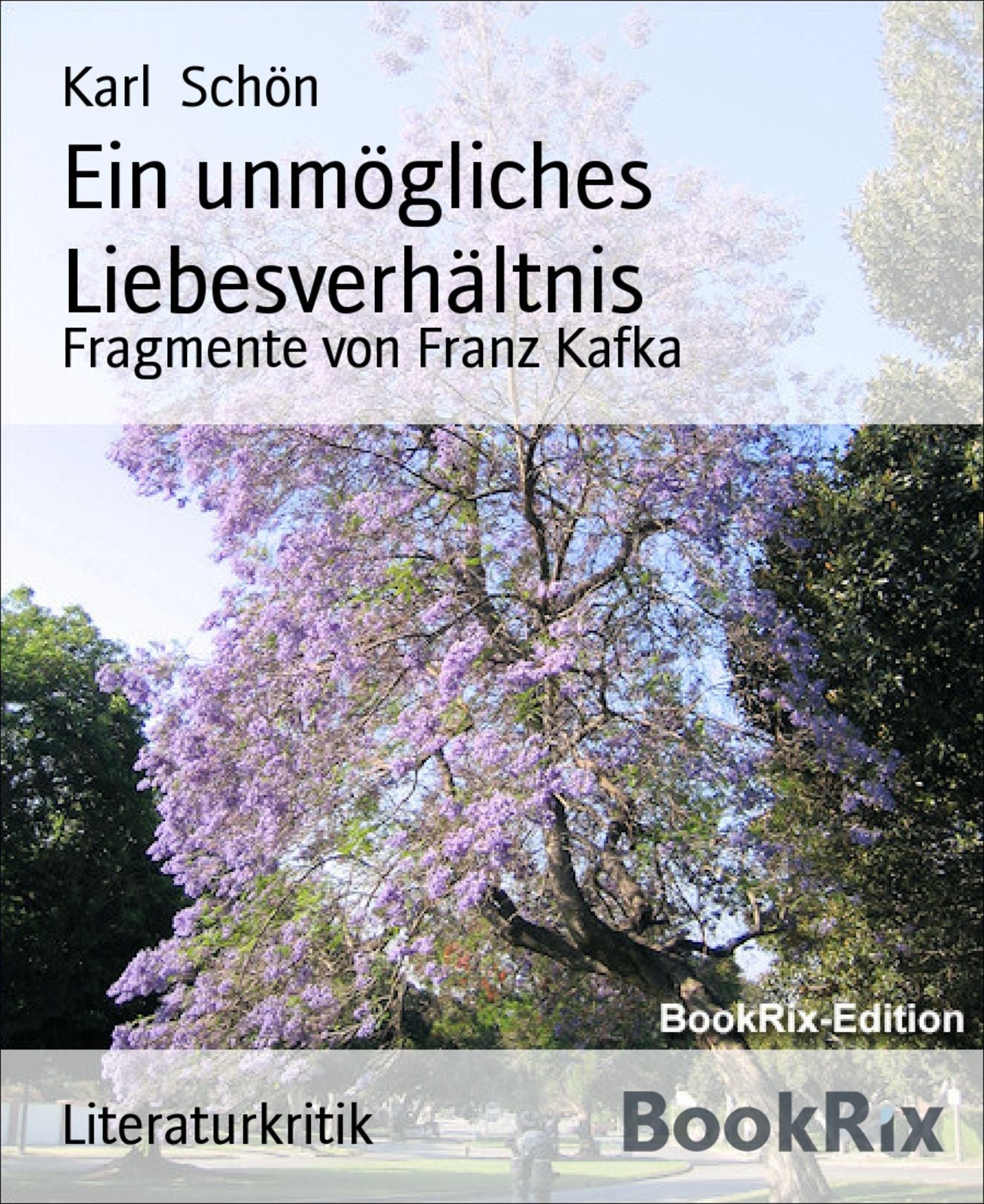 Ein unmögliches Liebesverhältnis: Fragmente von Franz Kafka