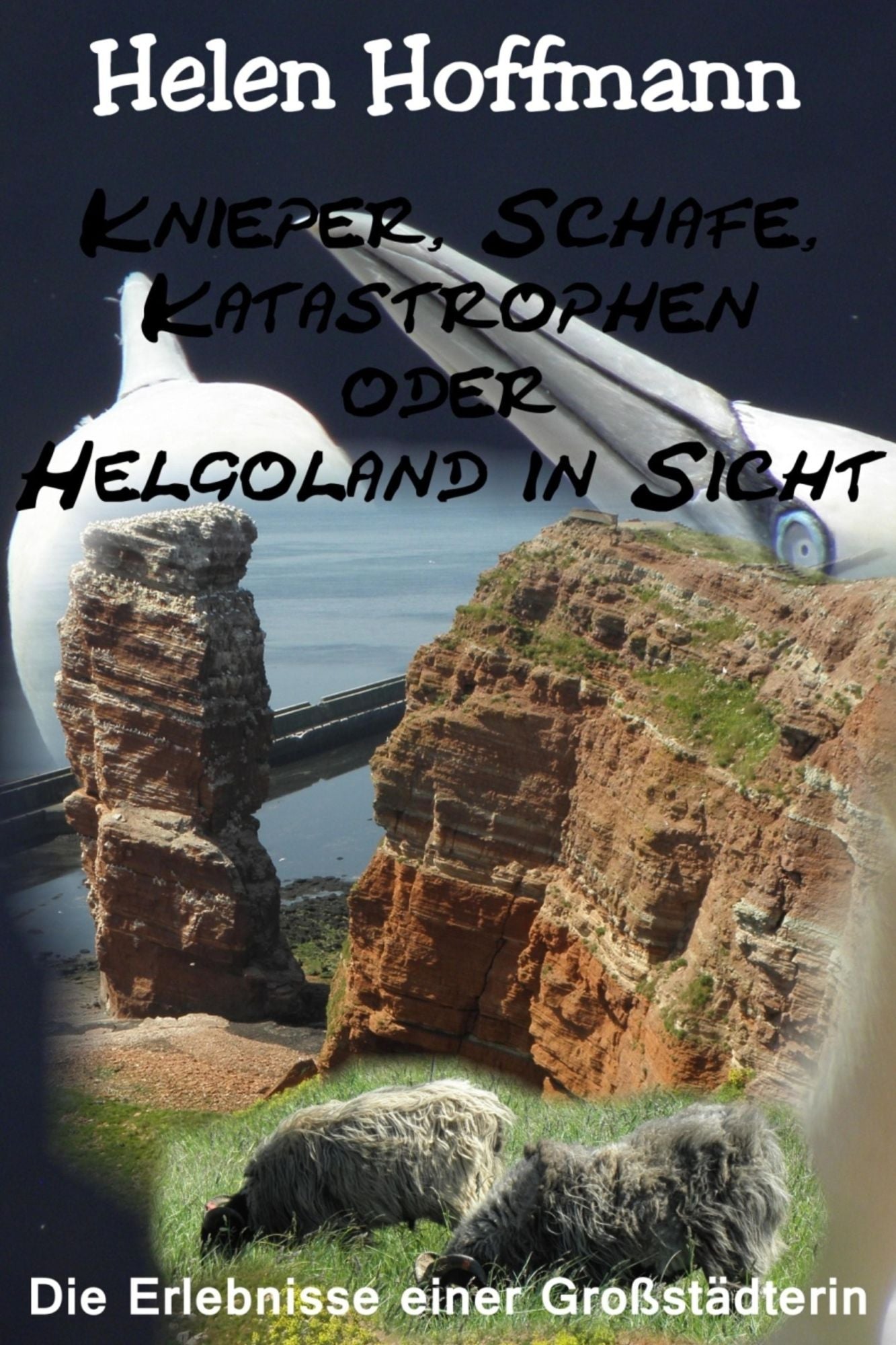 Knieper, Schafe, Katastrophen oder Helgoland in Sicht: Die Erlebnisse euner Großstädterin