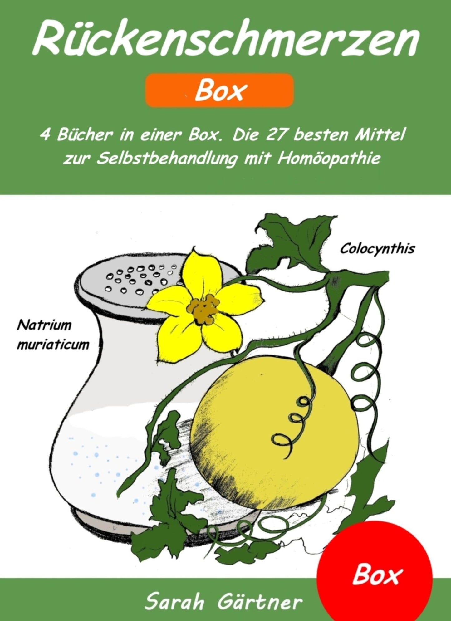 Rückenschmerzen - Box. 4 Bücher in einer Box. Die 27 besten Mittel zur Selbstbehandlung mit Homöopathie: Rückenschmerzen ganzheitlich behandeln. Selbsthilfe bei Beschwerden in Wirbelsäule, Bandscheiben oder Ischias-Nerv