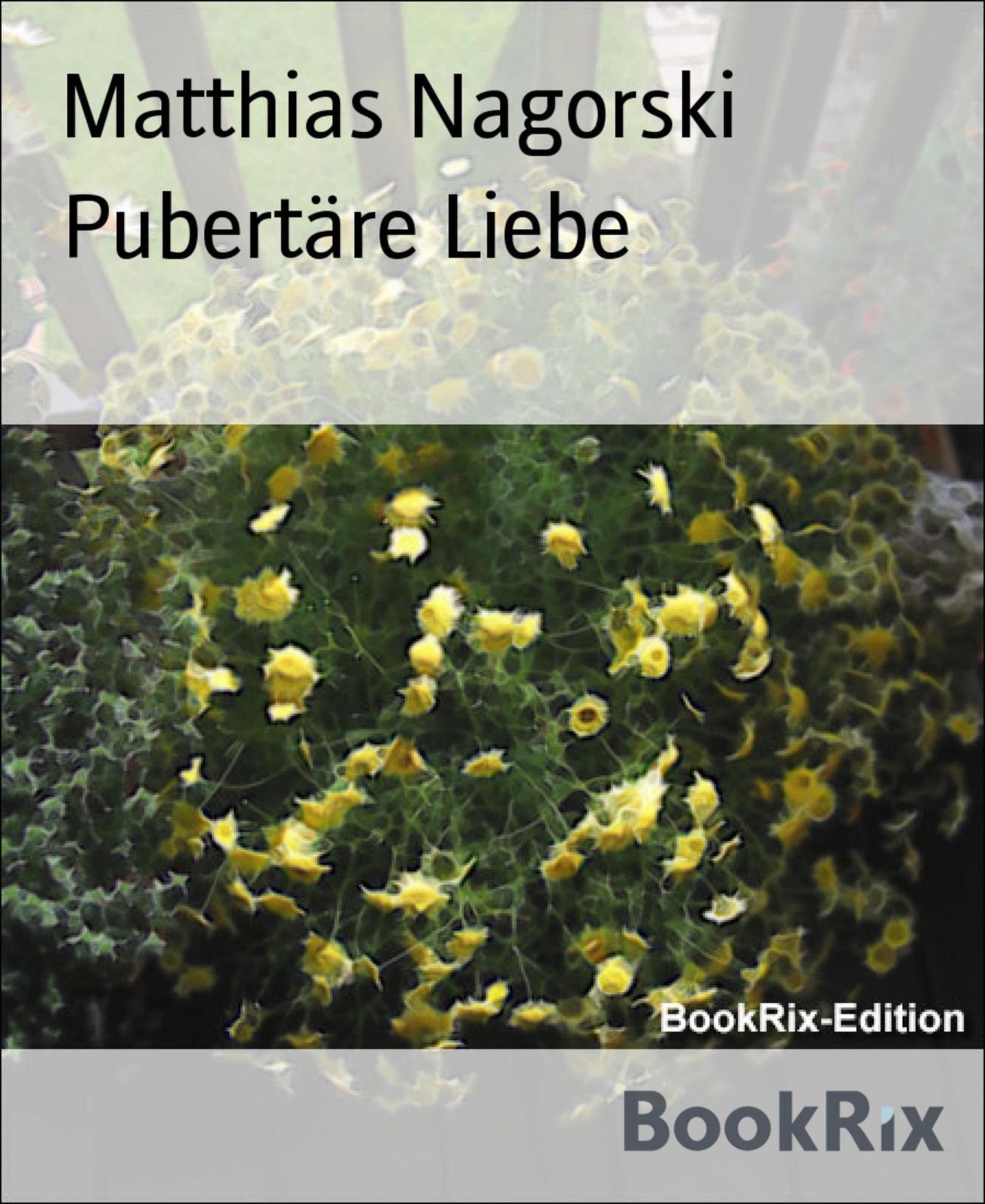Pubertäre Liebe
