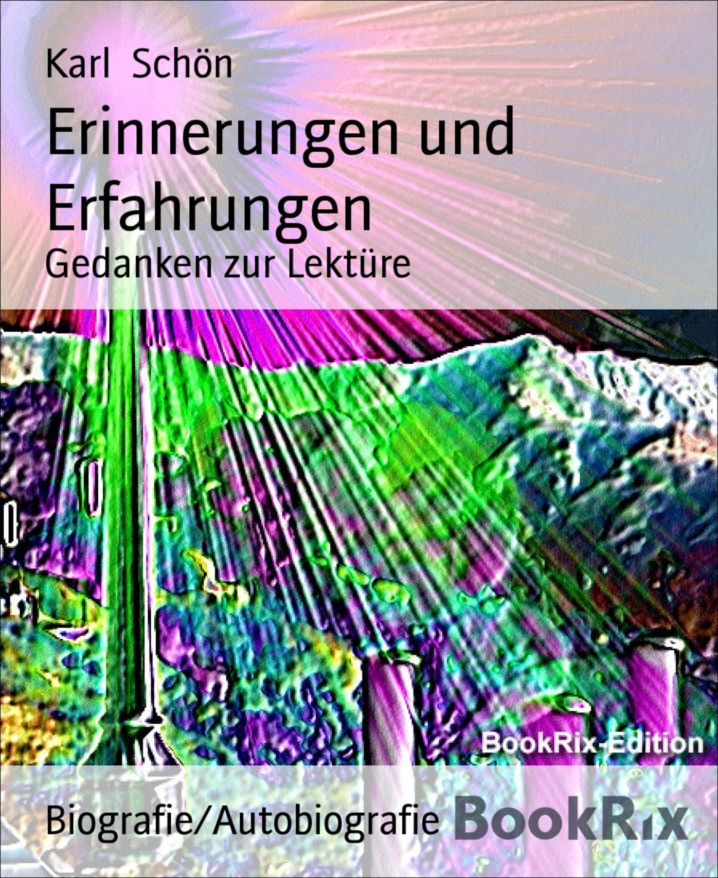 Erinnerungen und Erfahrungen: Gedanken zur Lektüre