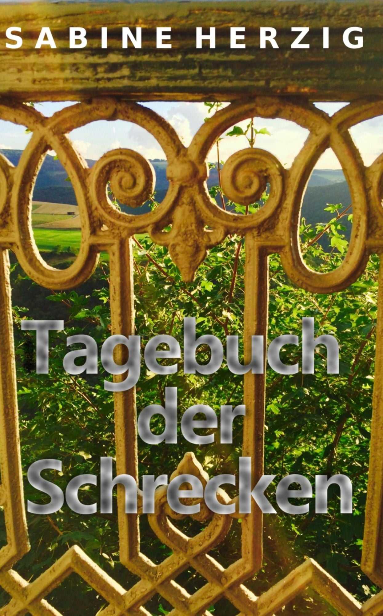 Tagebuch der Schrecken: Eine humorvolle Urlaubserzählung aus der einsamen Eifel
