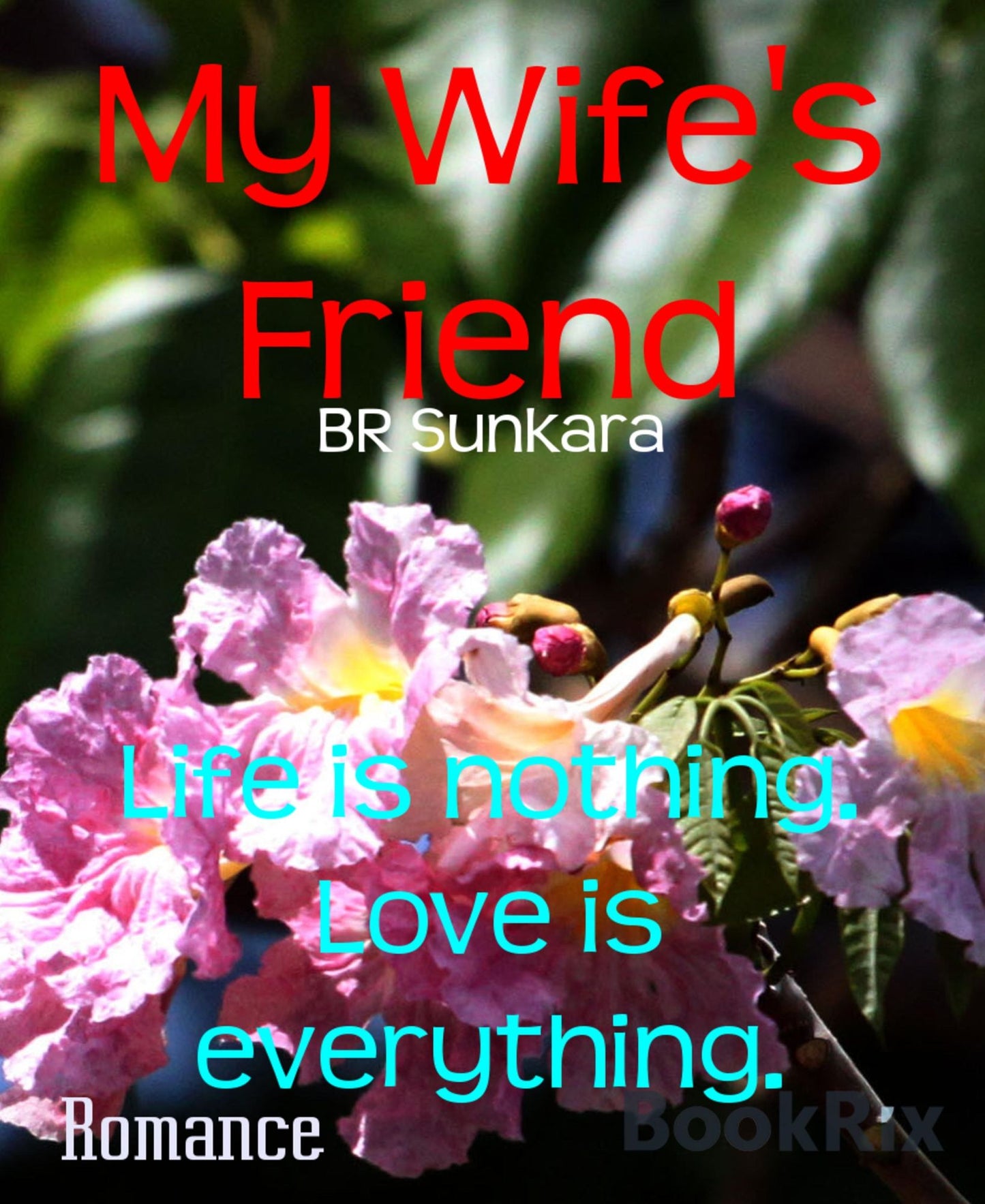 My Wife's Friend: Life is nothing. Love is everything.