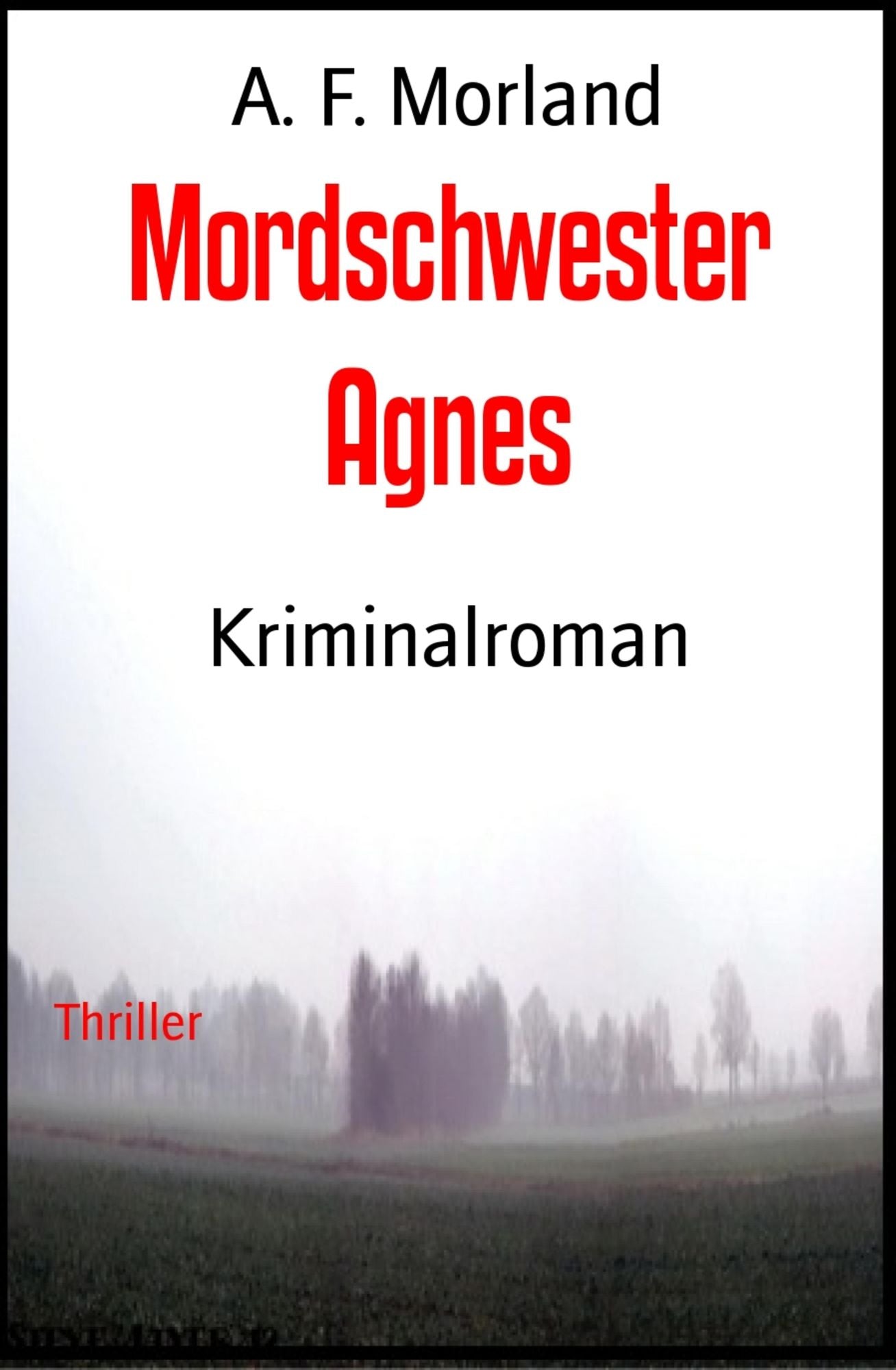 Mordschwester Agnes: Kriminalroman