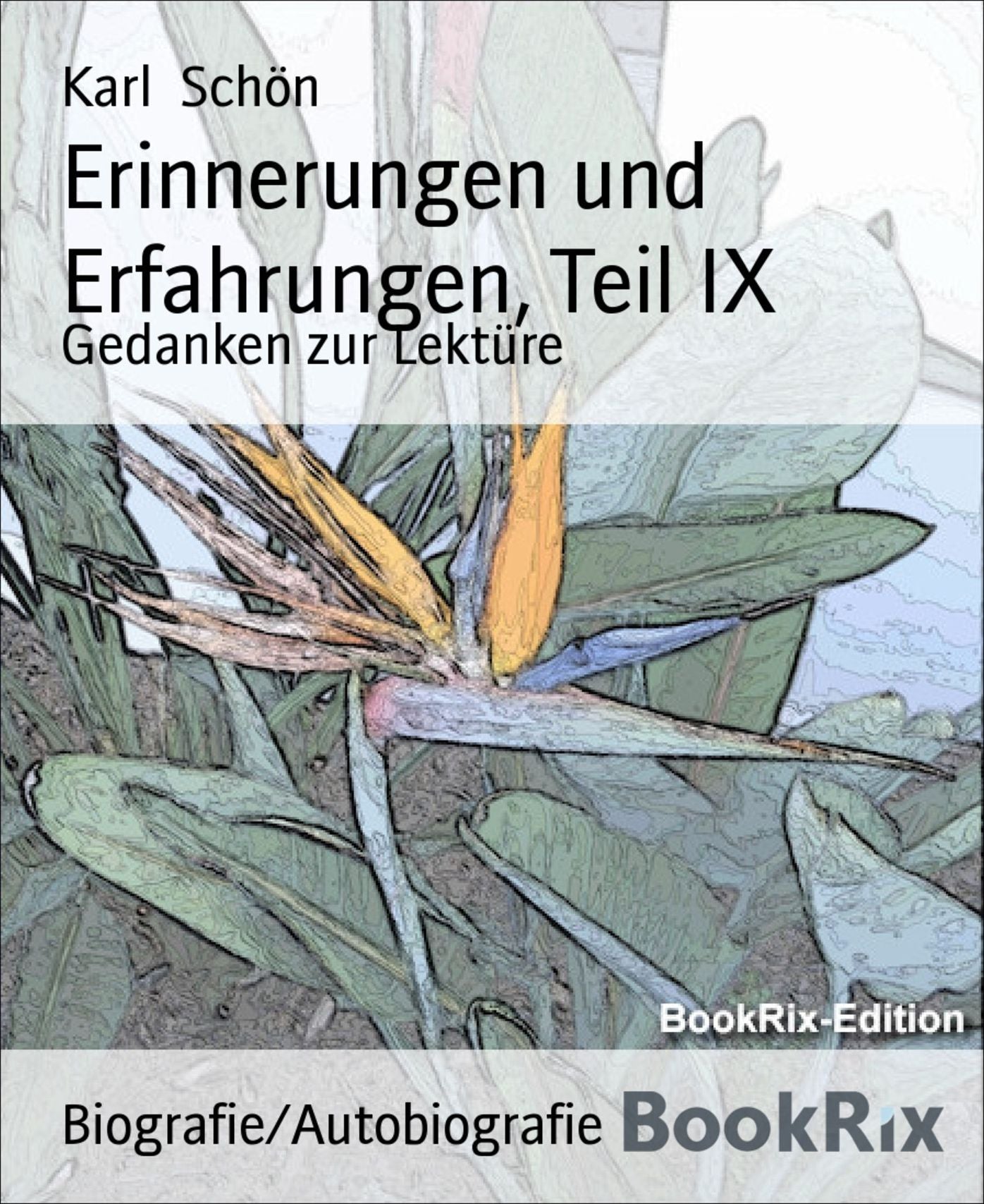 Erinnerungen und Erfahrungen, Teil IX: Gedanken zur Lektüre