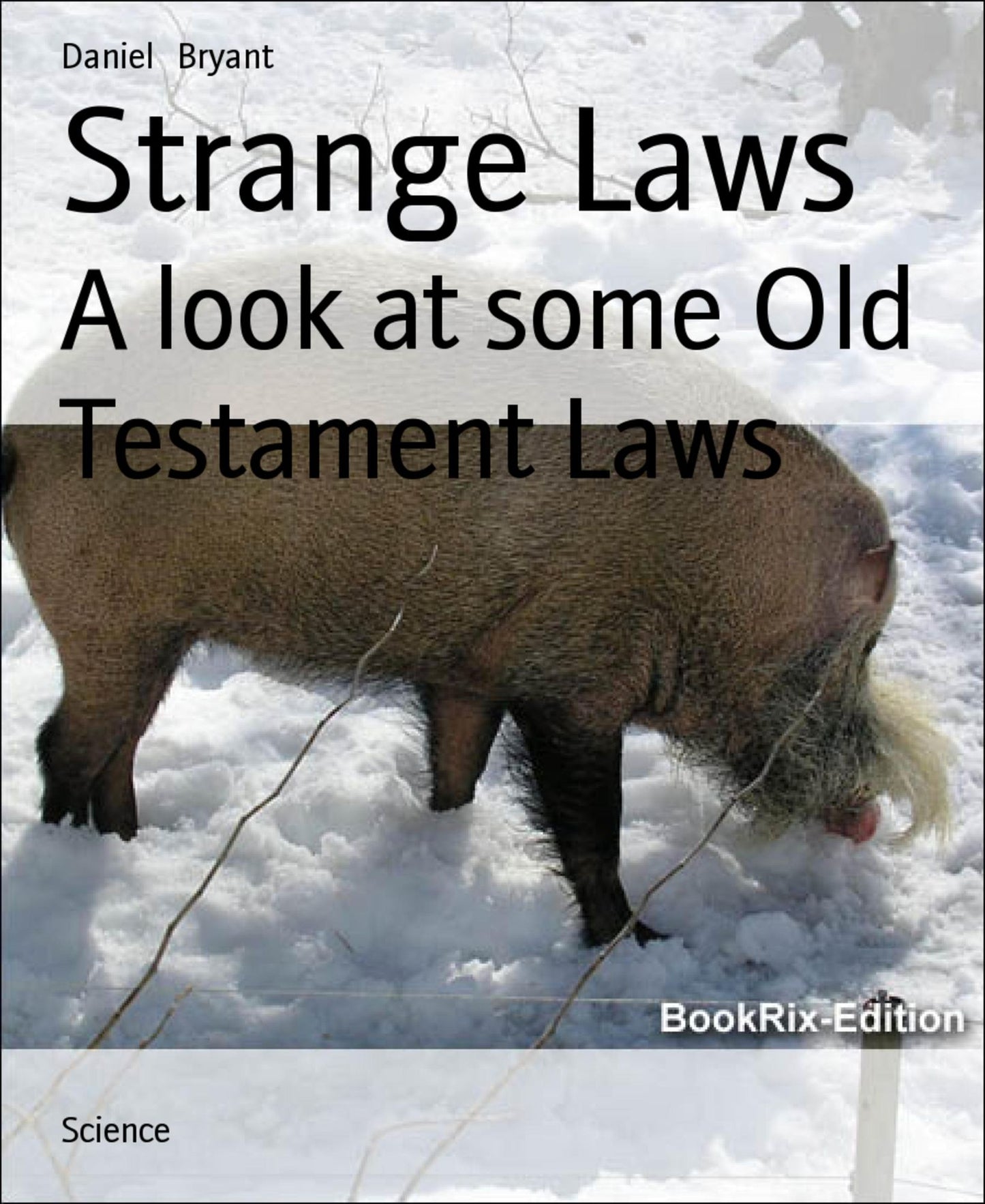 Strange Laws: A look at some Old Testament Laws