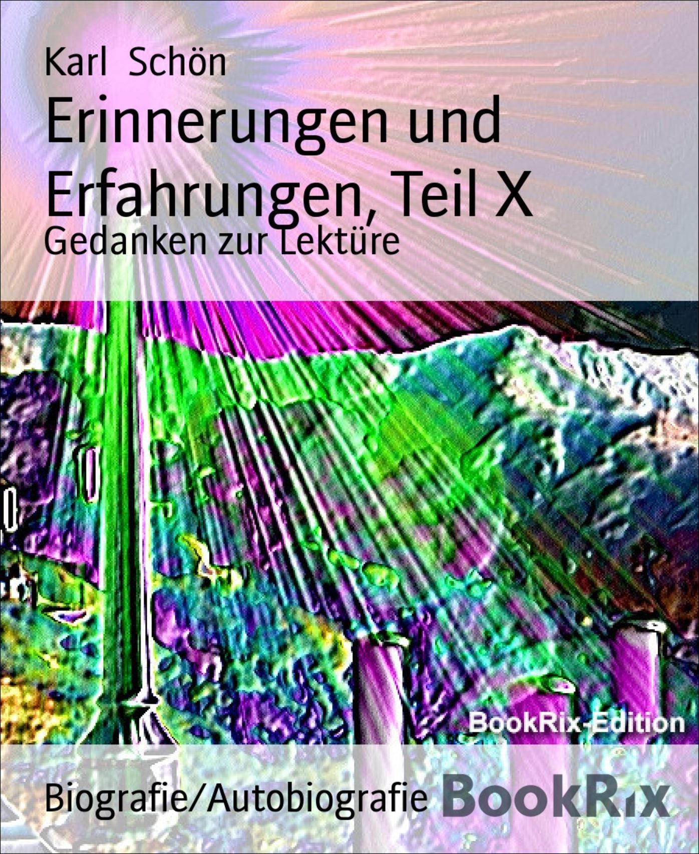 Erinnerungen und Erfahrungen, Teil X: Gedanken zur Lektüre