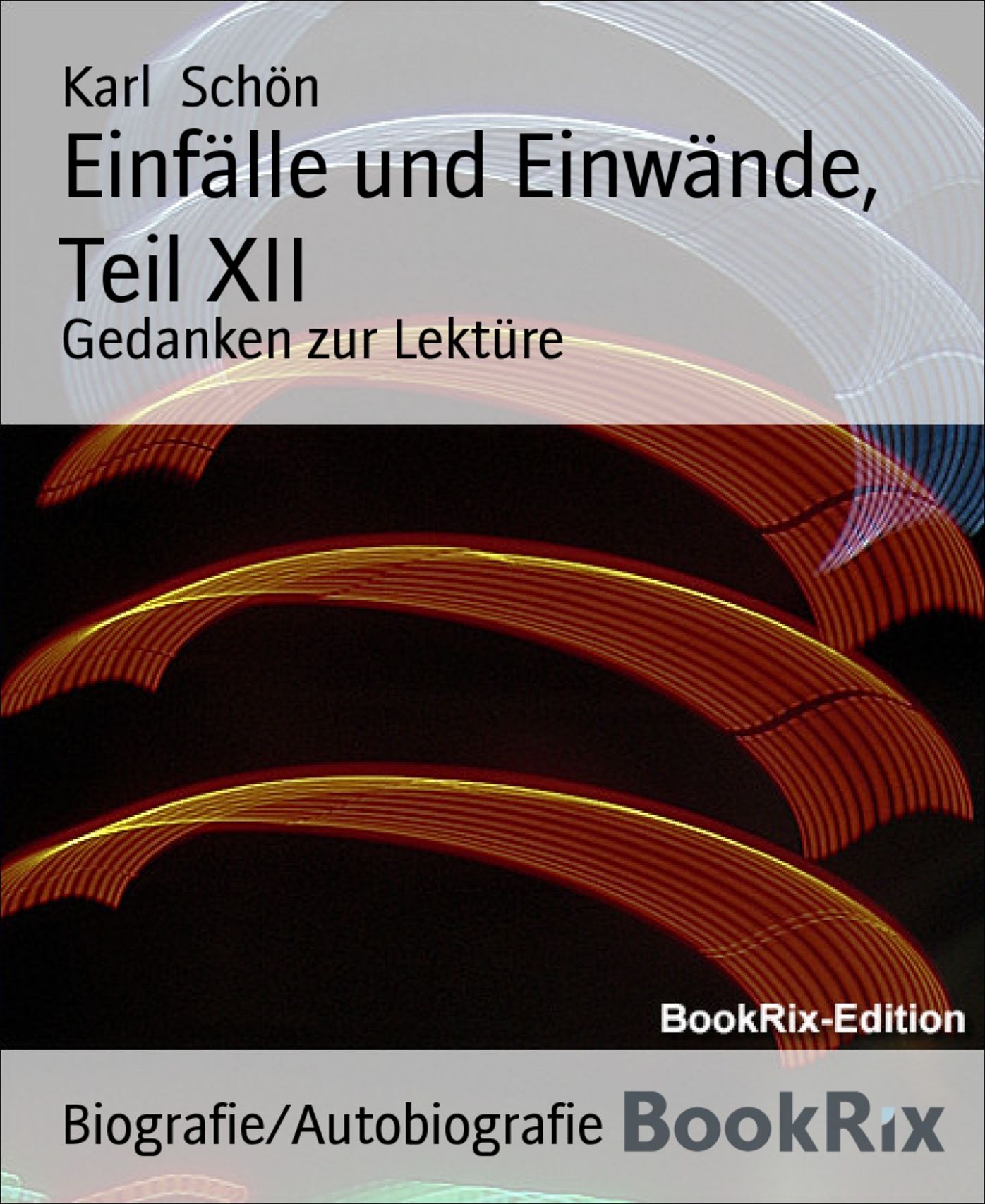 Einfälle und Einwände, Teil XII: Gedanken zur Lektüre