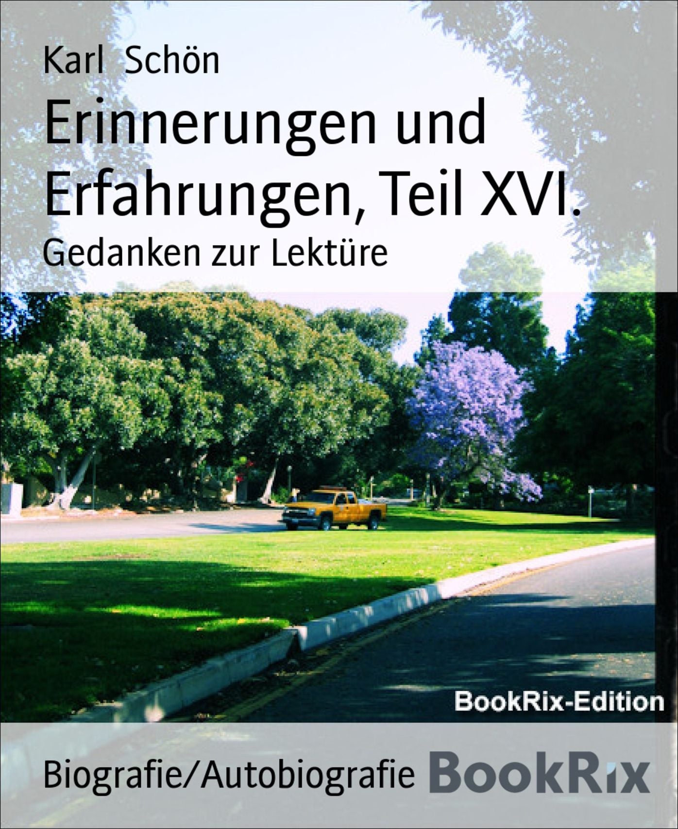 Erinnerungen und Erfahrungen, Teil XVI.: Gedanken zur Lektüre