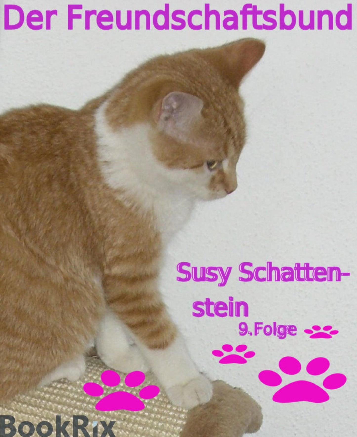 Der Freundschaftsbund: 9. Folge
