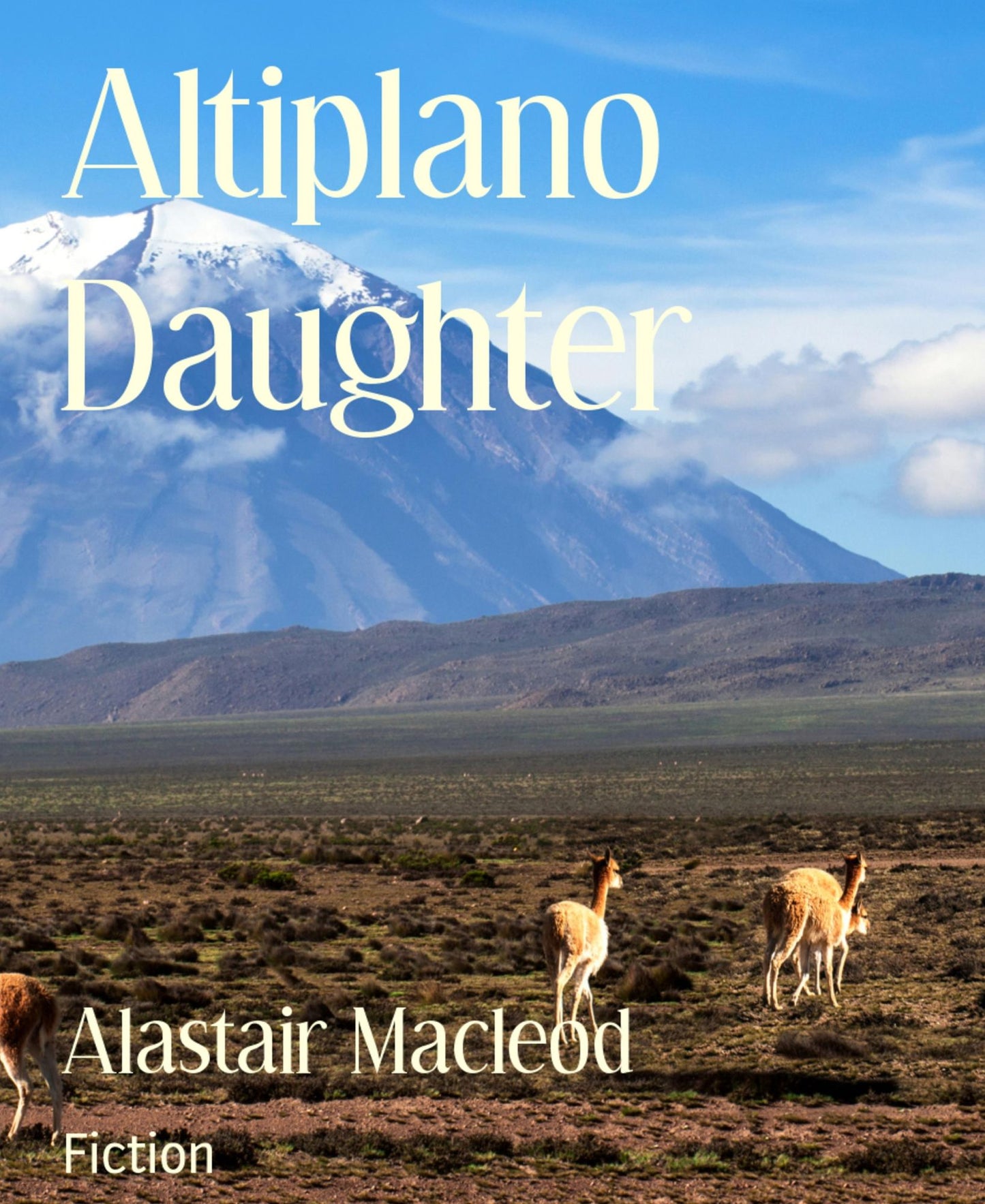 Altiplano Daughter