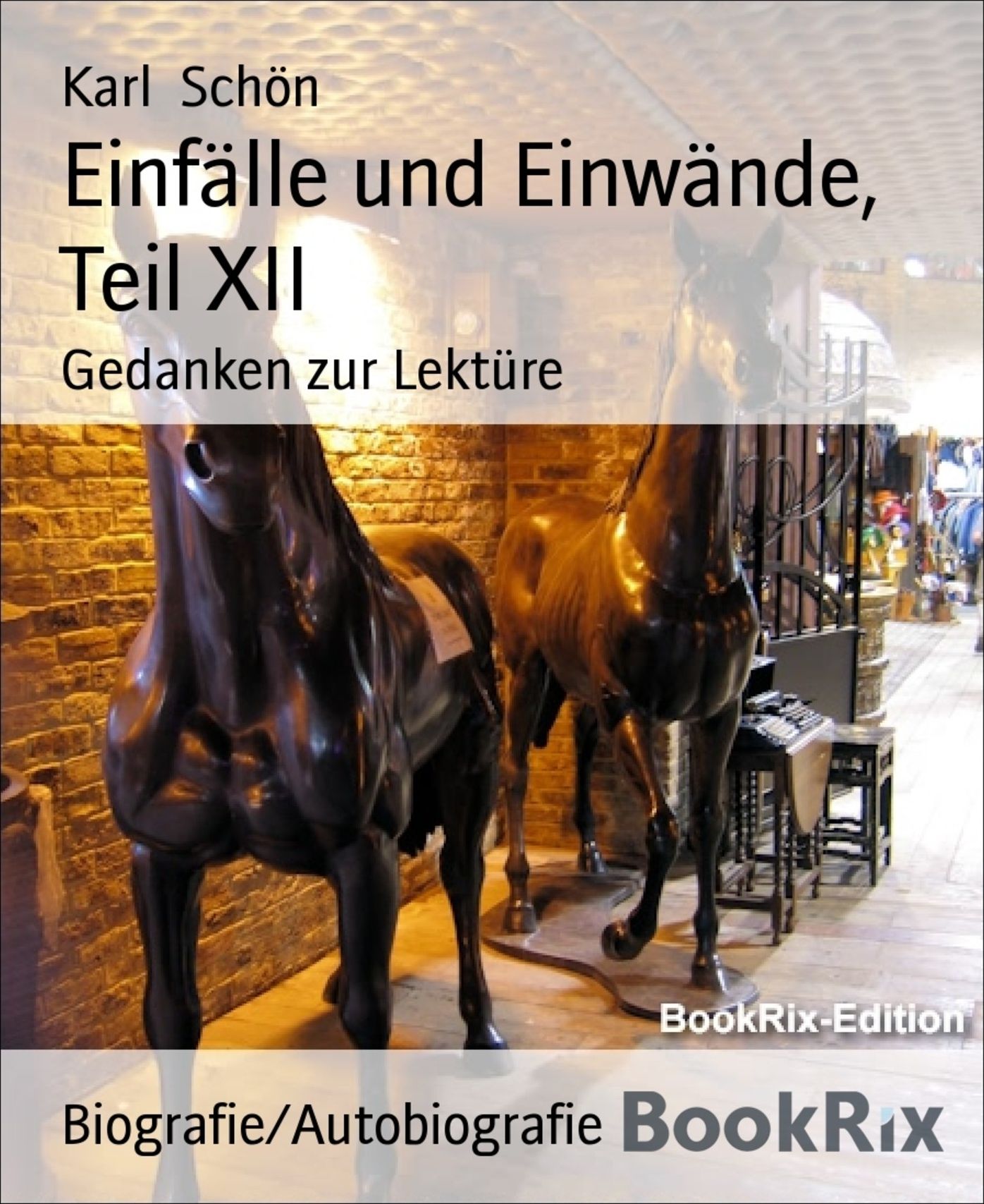 Einfälle und Einwände, Teil XII: Gedanken zur Lektüre